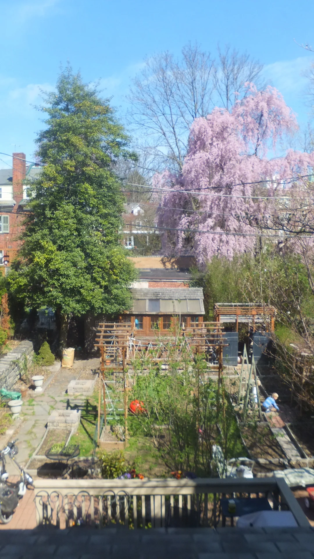 DSCF2131.JPG