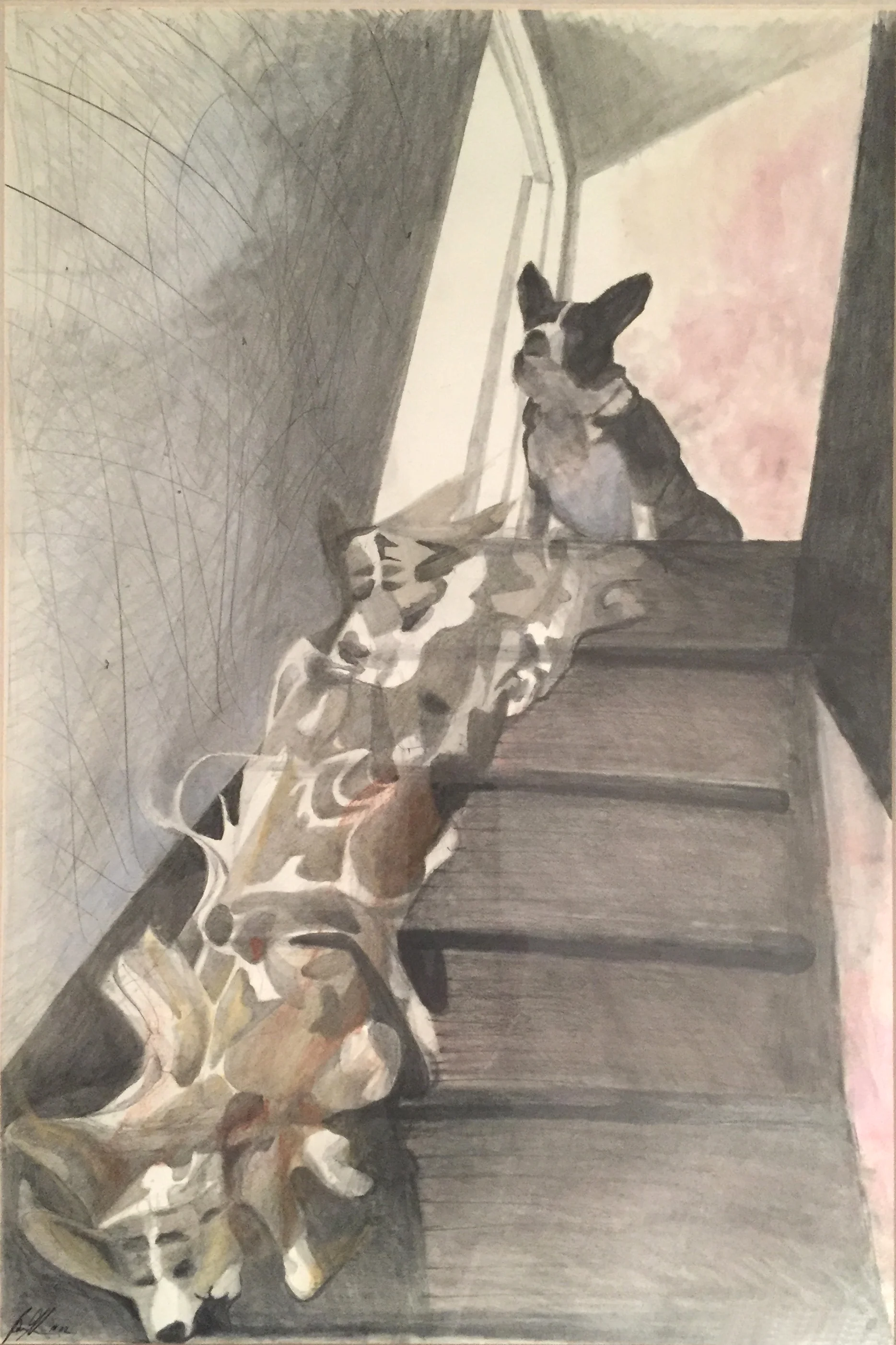 Corgi Descending the Staircase 