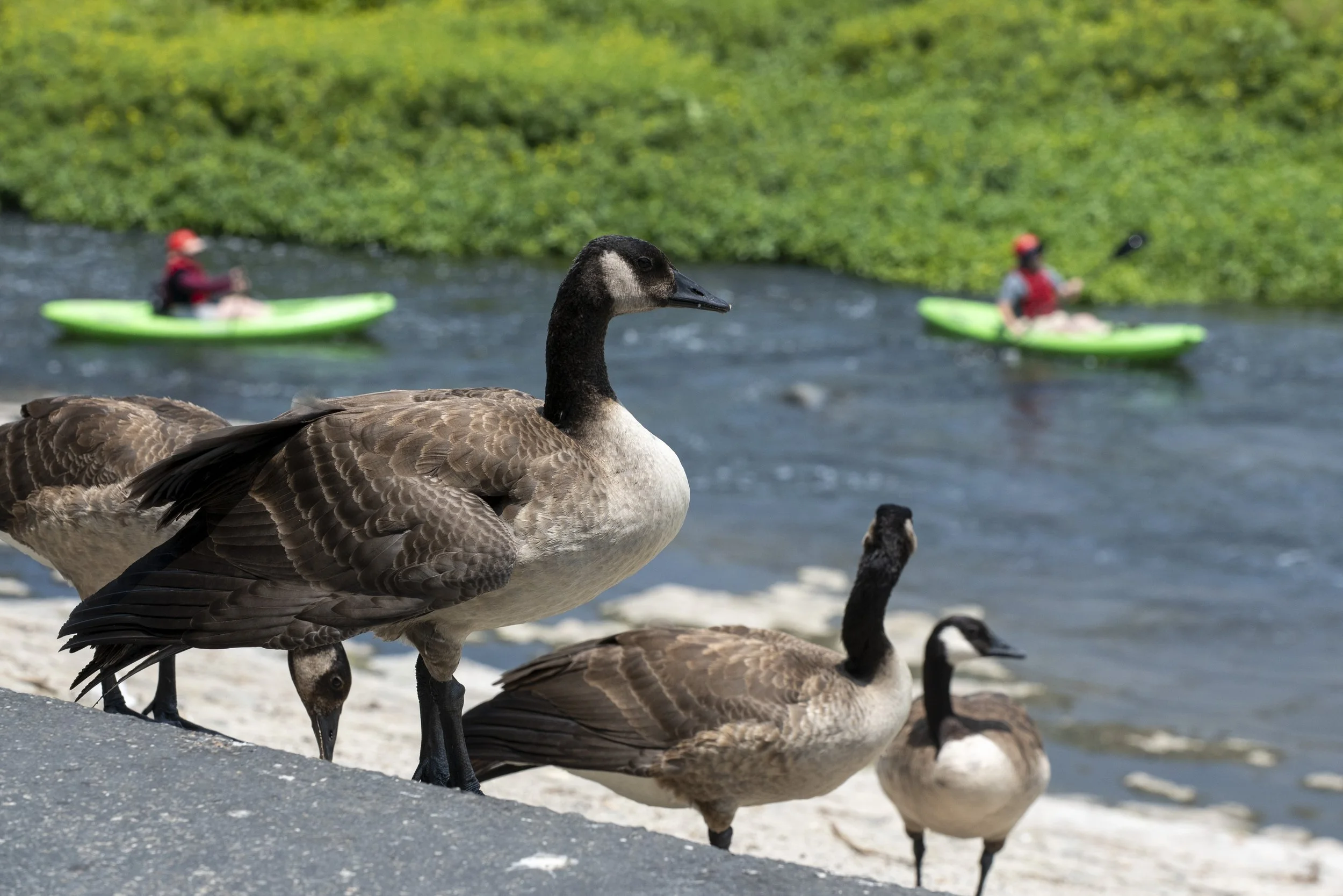 20260621GK.LA_River_023.JPG