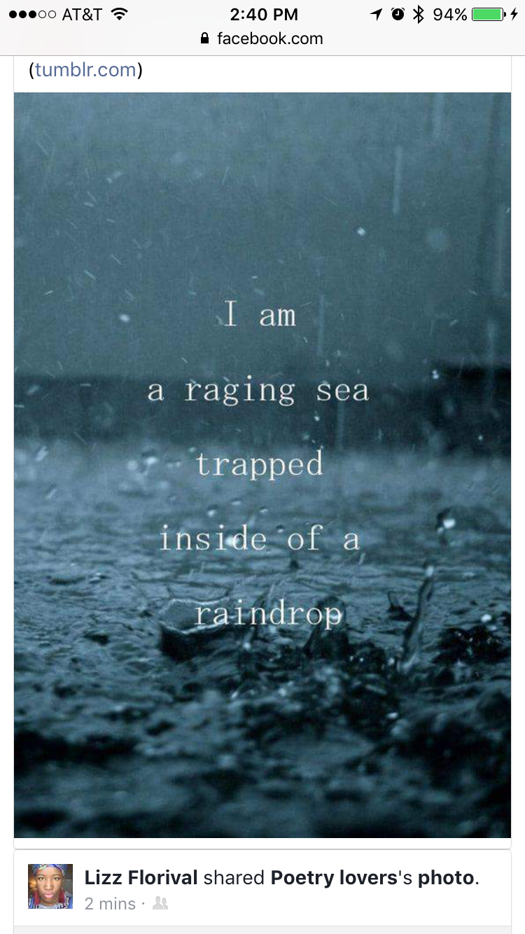 Forgive and Forage VII