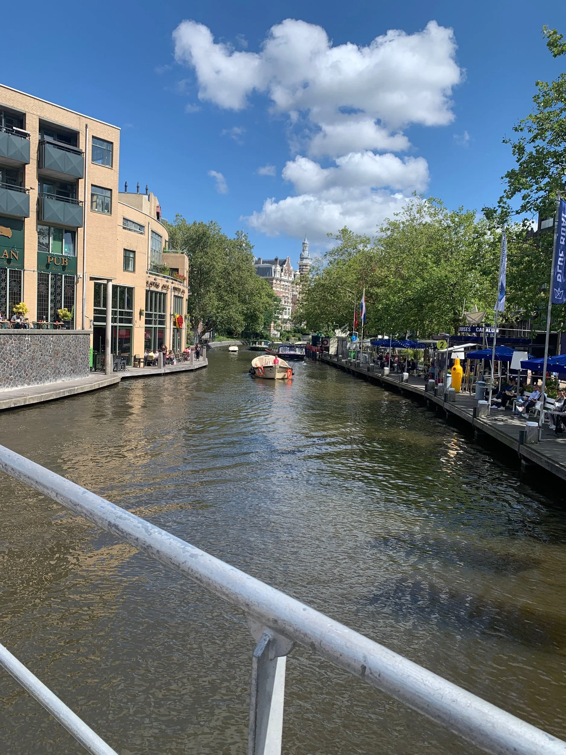 a city that bloomed me open