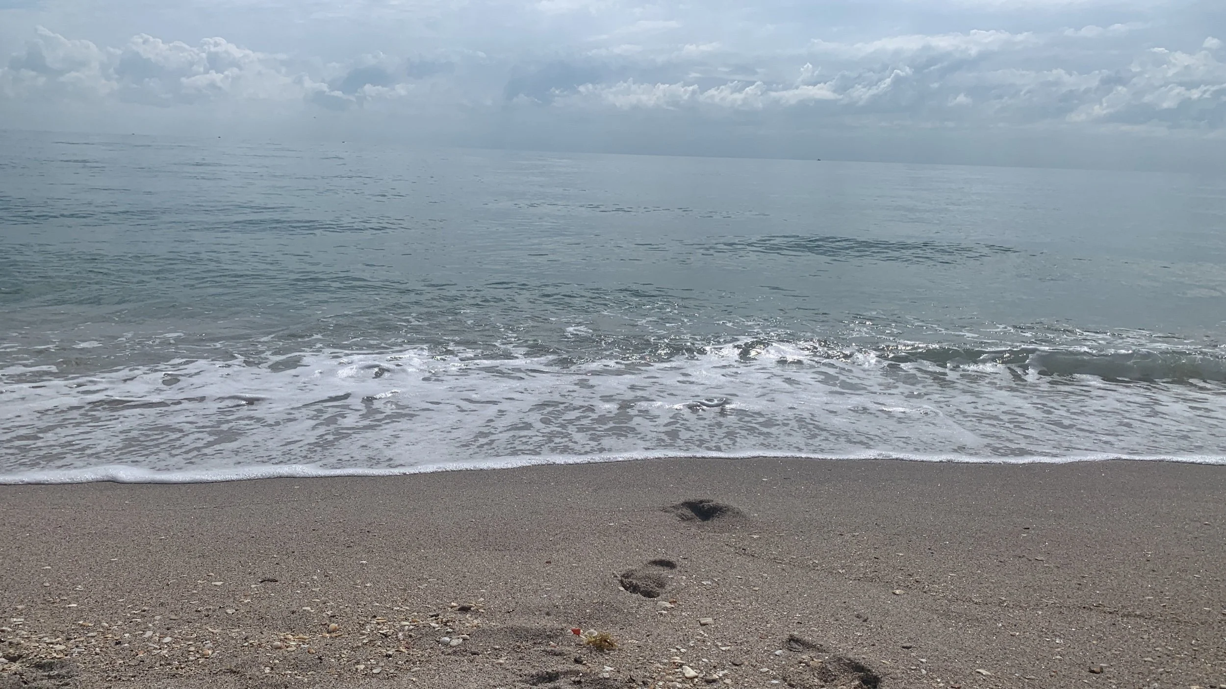 Renesans —Thirty Five — living in 12