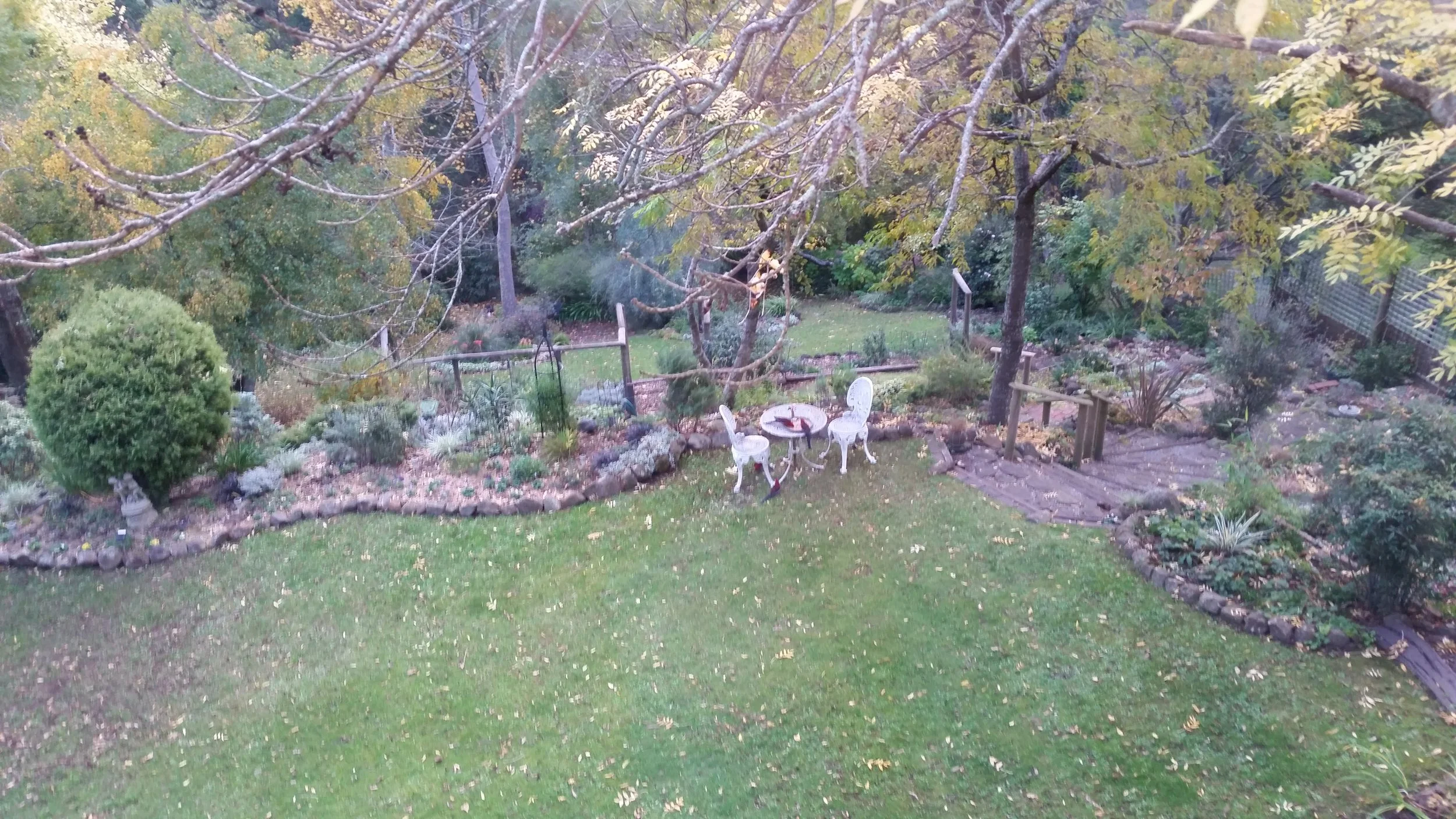 Val's garden, 2017. Image by Sarah.