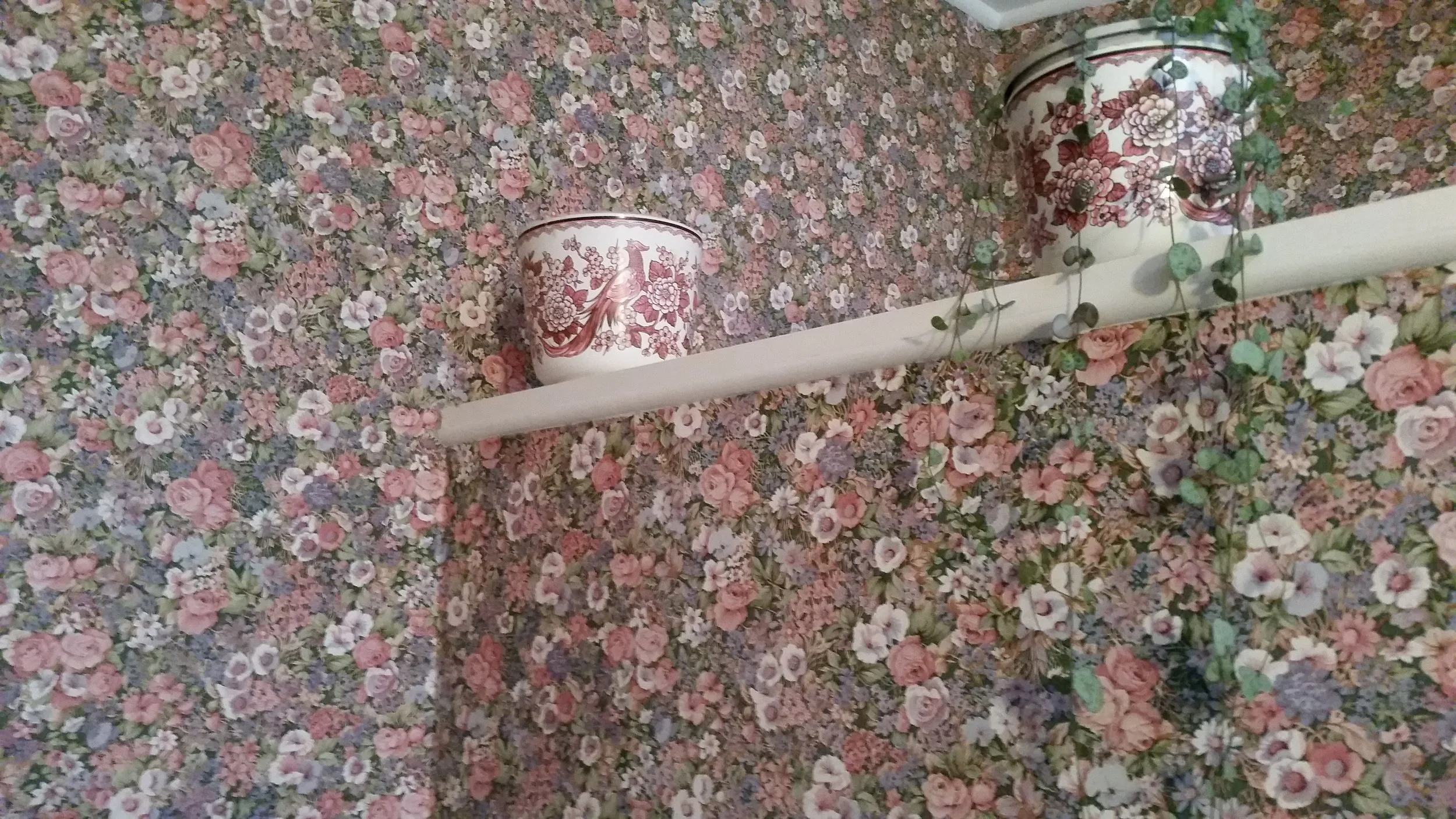 Inside Val's house, 2017. Image by Sarah.