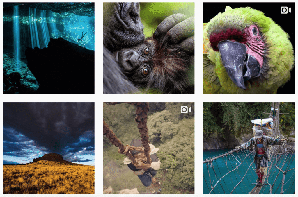 NAT-GEO-1024x678.png