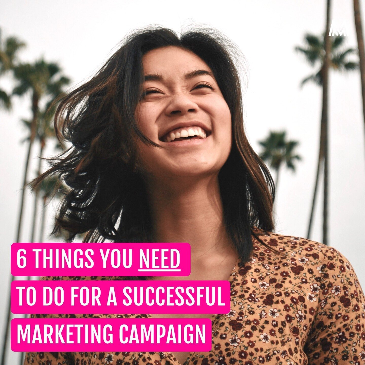 Marketing doesn't need to be complicated. Yes, changes happen all the time and there's always new tools and trends, but if you nail the basics, you WILL be successful.

There are 6 core things you need to do in order to have a wildly successful campa