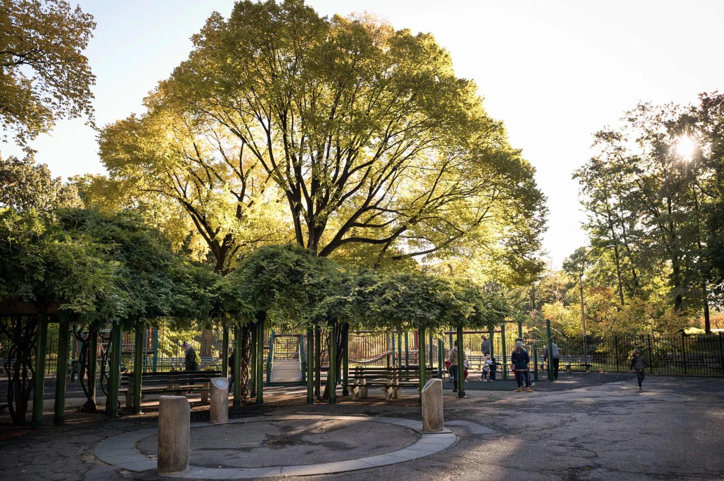 Central Park.jpg