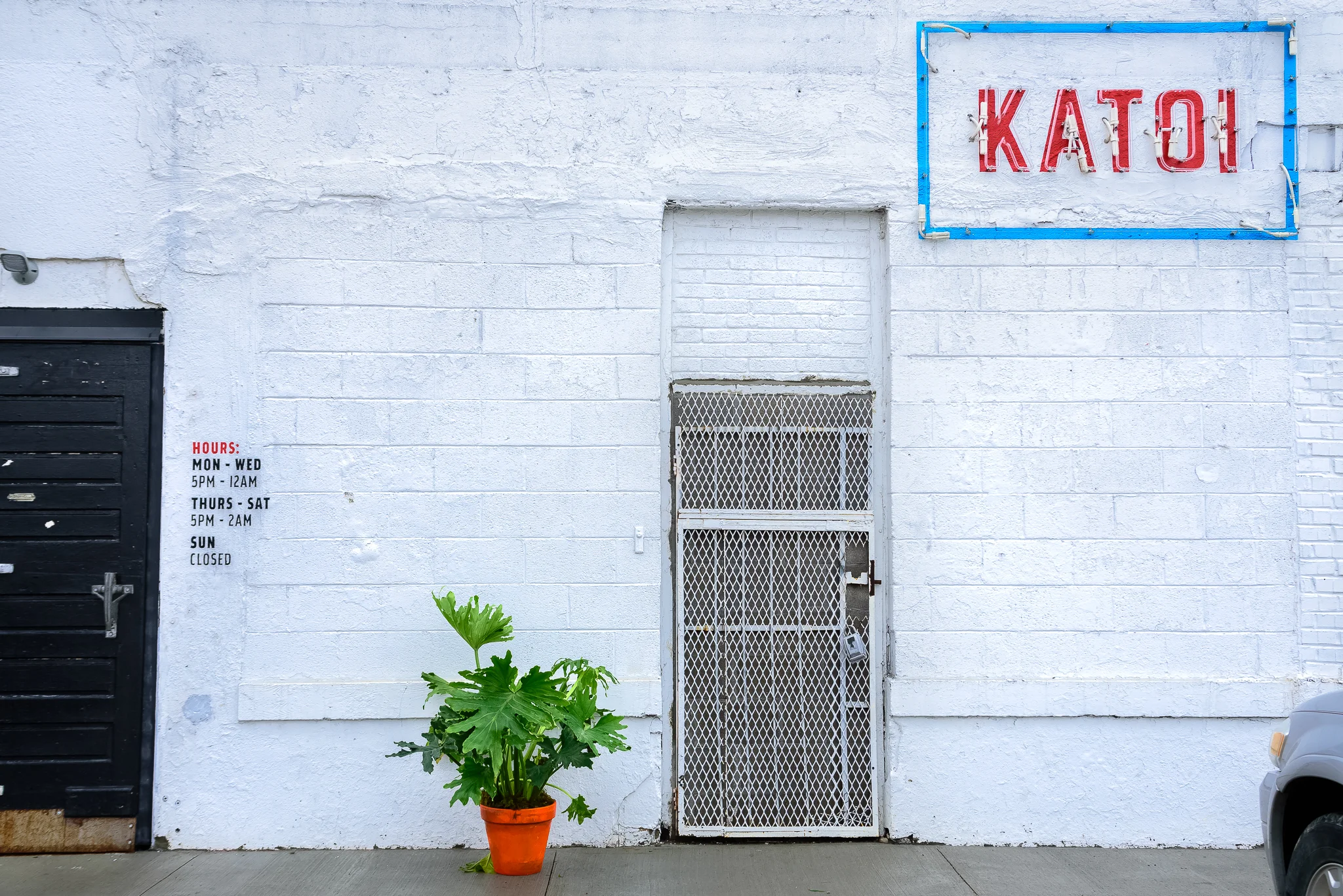 katoi_jungle_plant_water2.jpg