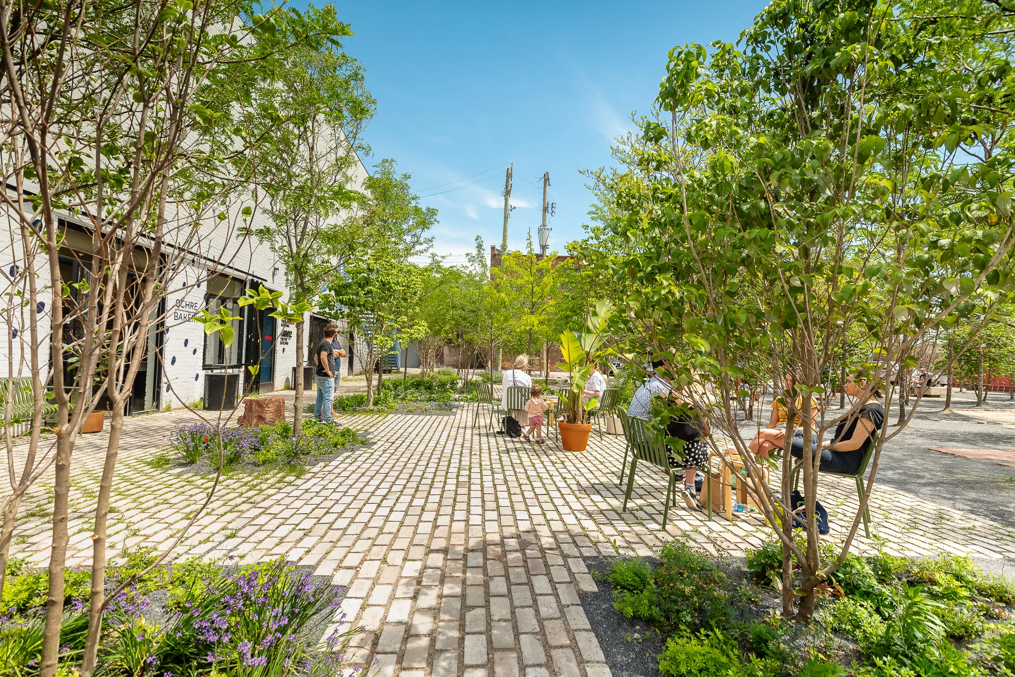 prince_concepts_core_city_park_spring-32.jpg