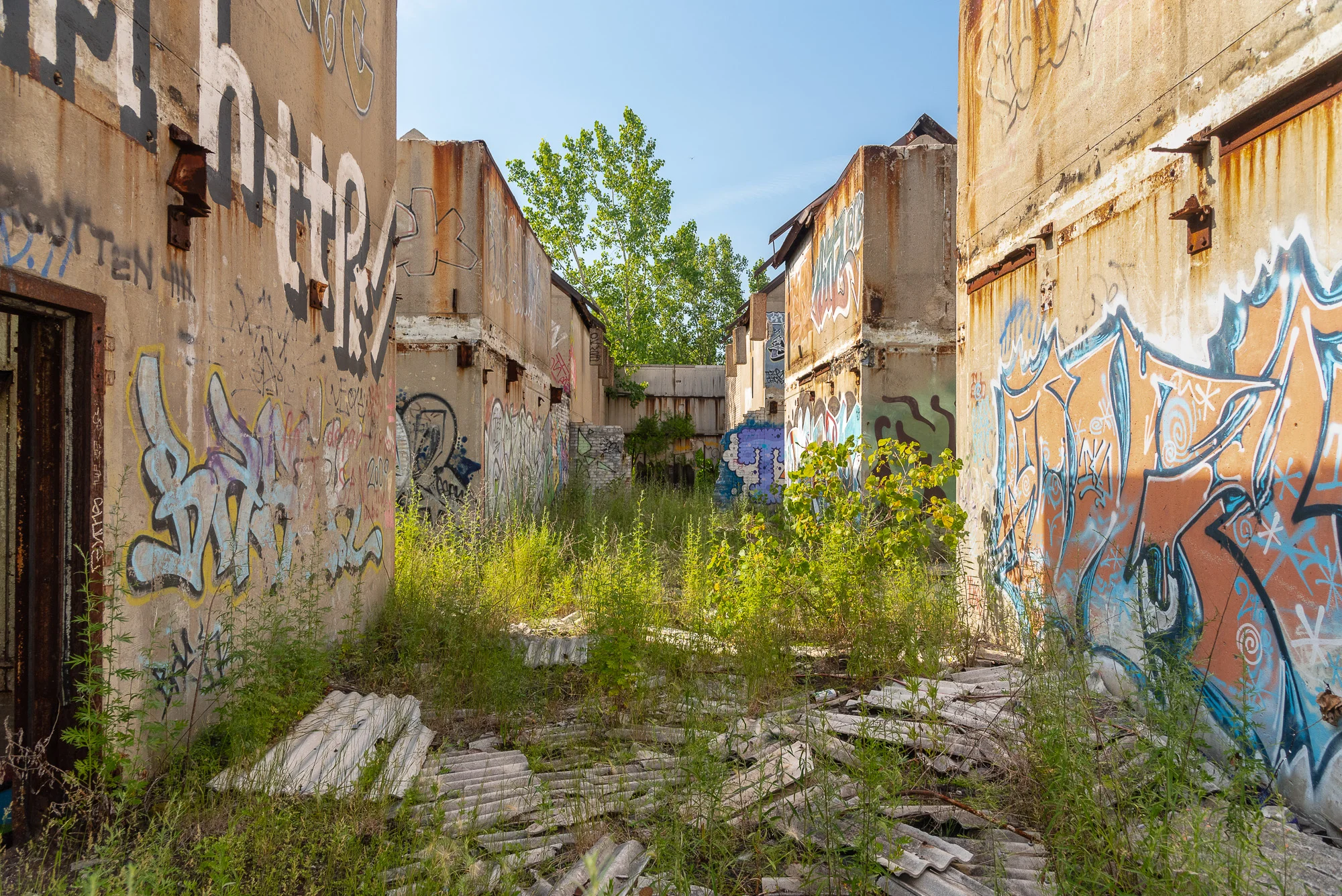 prince_concepts_continental_summer_exterior-18.jpg