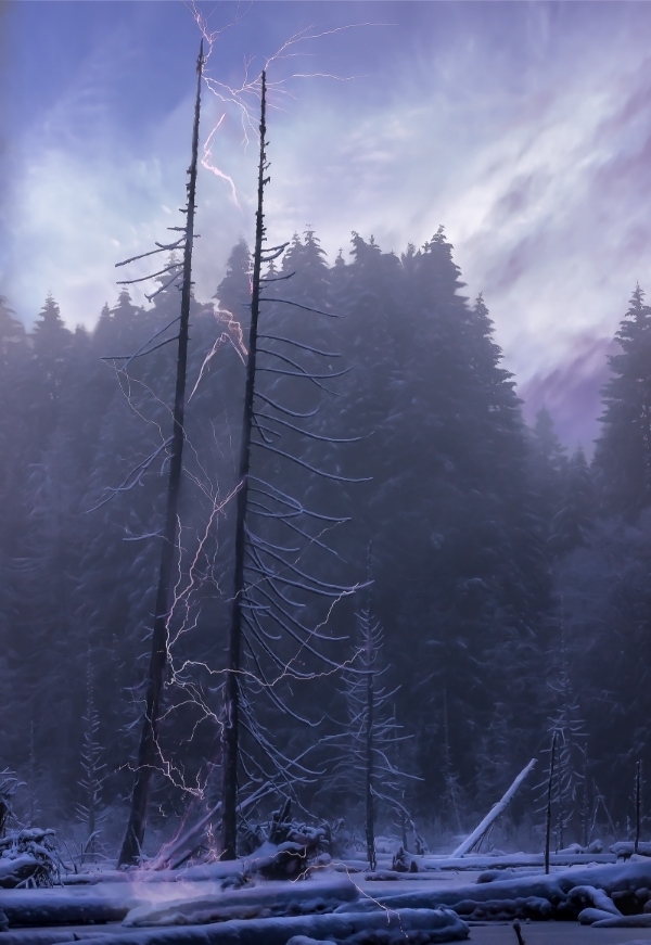 Gaia's Ladder