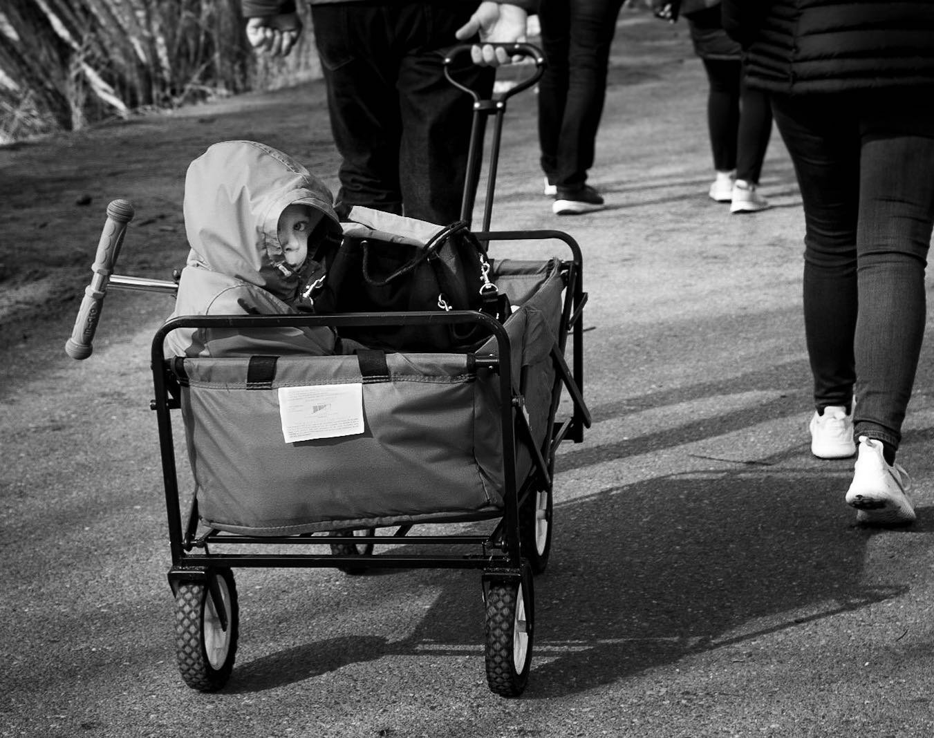 #greenlakeseattle  #blackandwhitephotographer #SPiCollective #streetphotohraphyblackandwhite #blackandwhitestreetphotography #streetphoto_bw #streetphotography #streetphotographyinternational #streerphotomag #blackandwhitestreetphotographer #captures