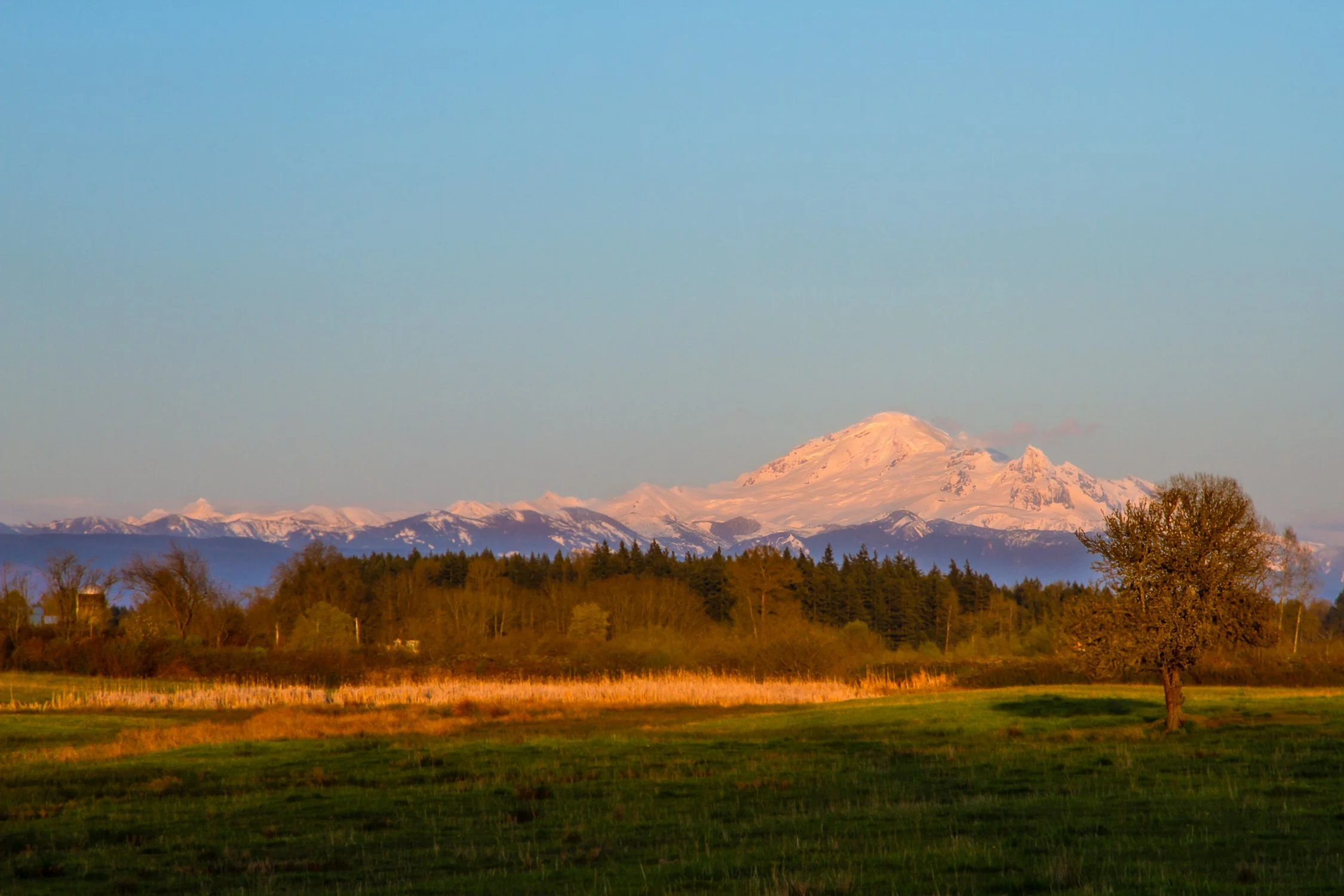 Mt, Baker.jpg