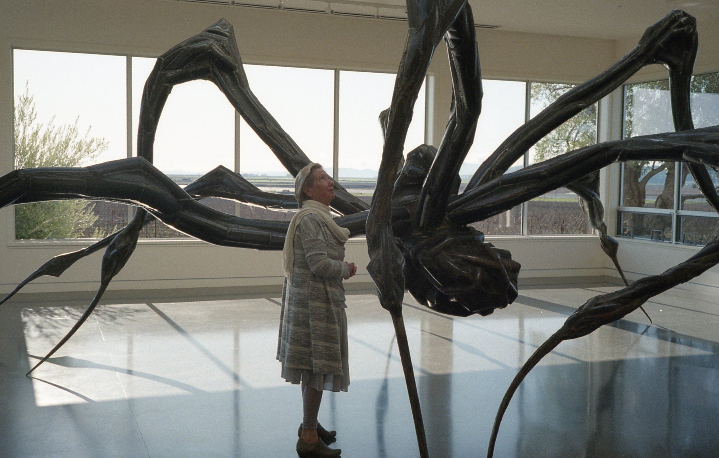 Spider sculpture lady.jpg