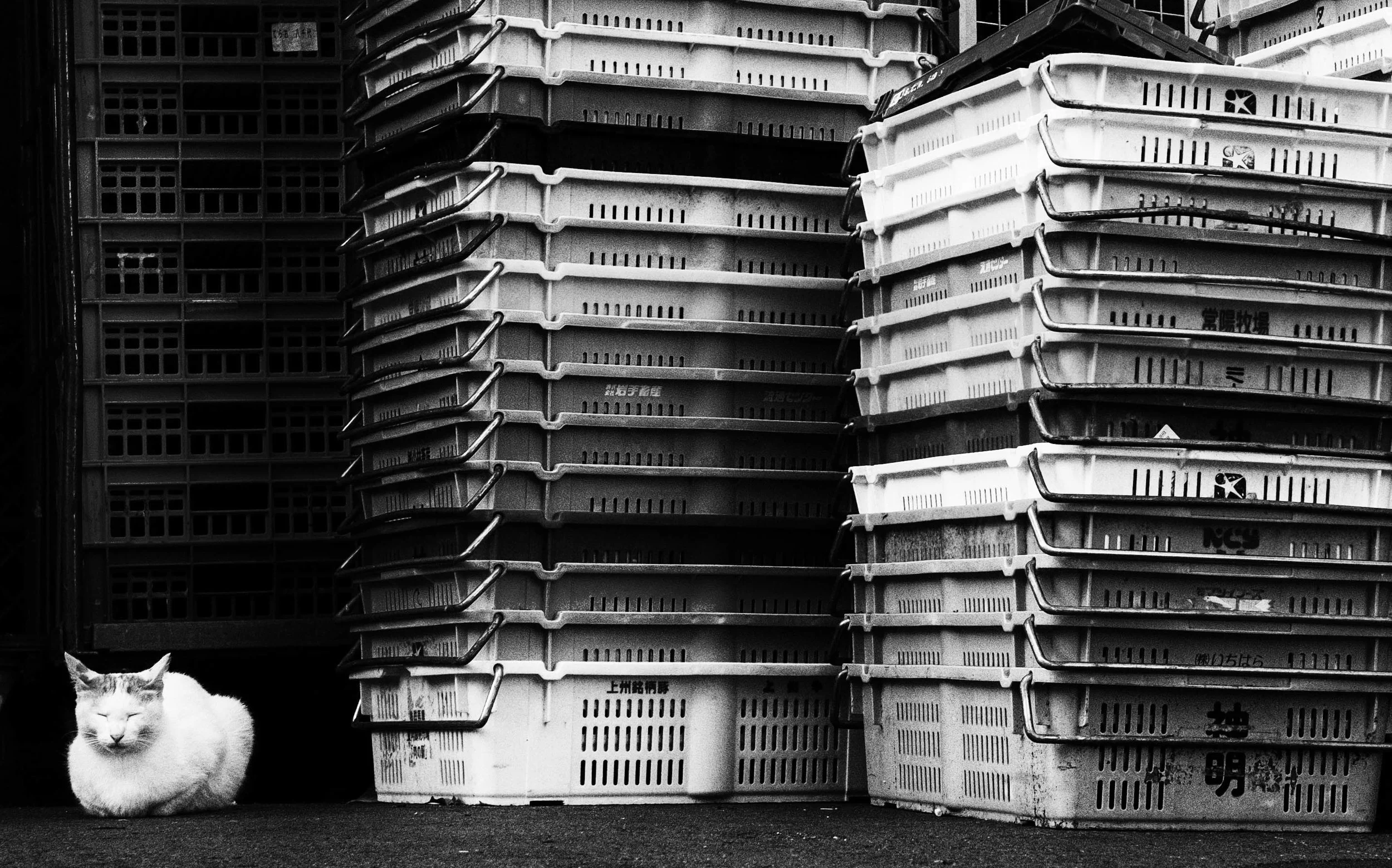 DSCF2941-Edit.jpg