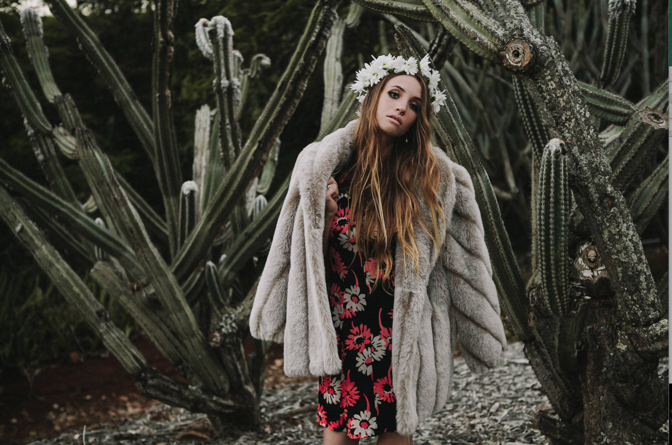 Screen Shot 2014-03-04 at 10.27.54 PM.png