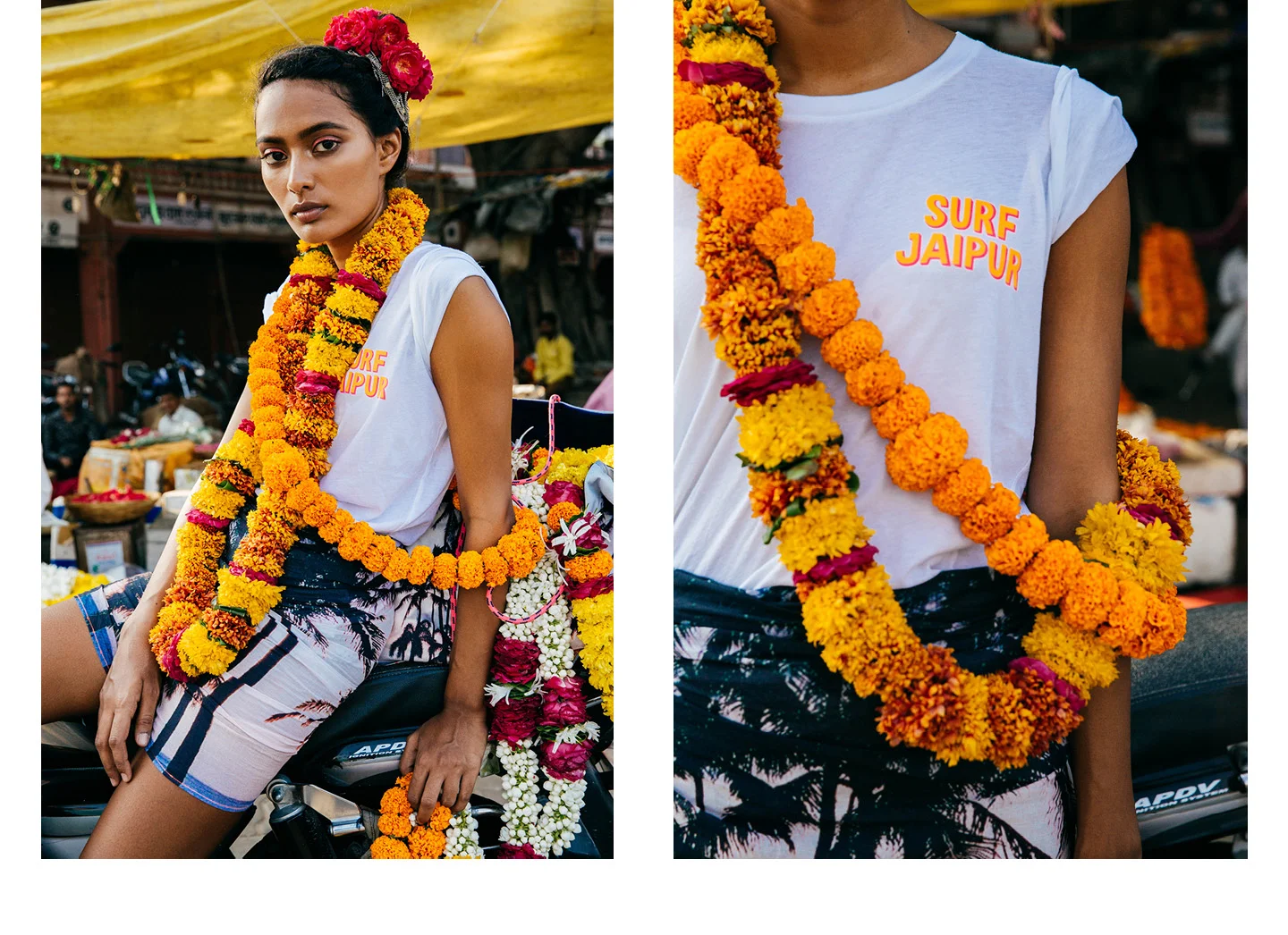 surf-jaipur22.jpg
