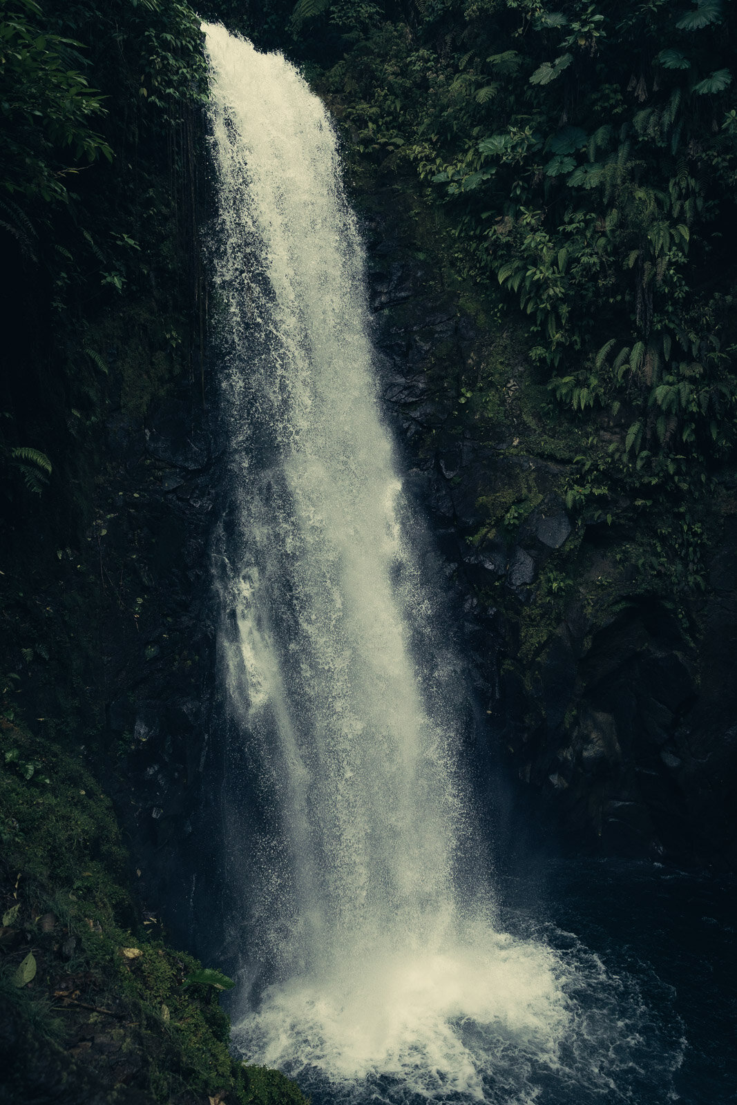 La paz, 2019