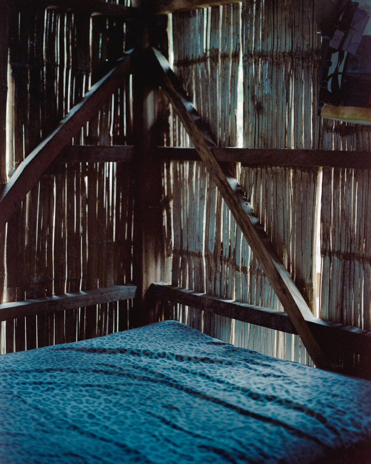 Film Scanning7271-positive.jpg