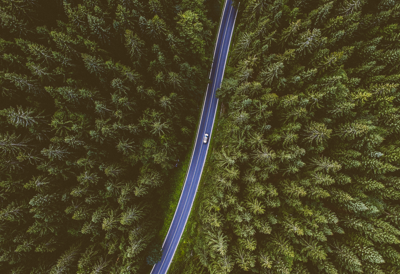 DJI_0220-4.jpg