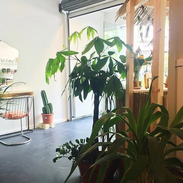 How To Costa the Talk when you want to Costa the walk.