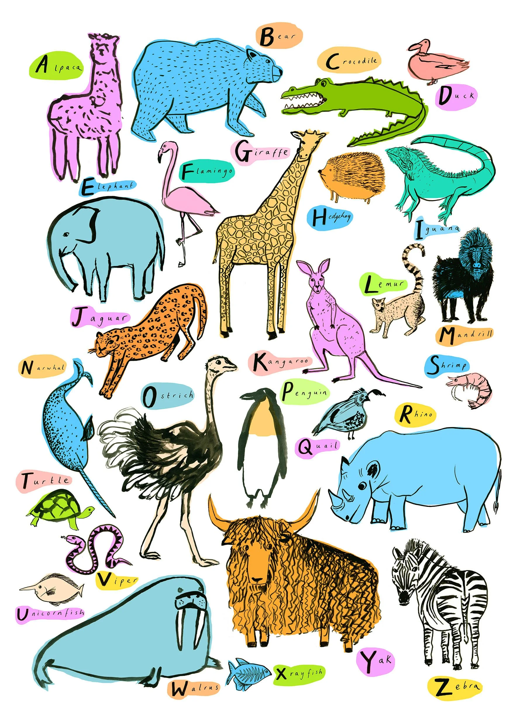 Animal Alphabet 2022 smaller for website.jpg