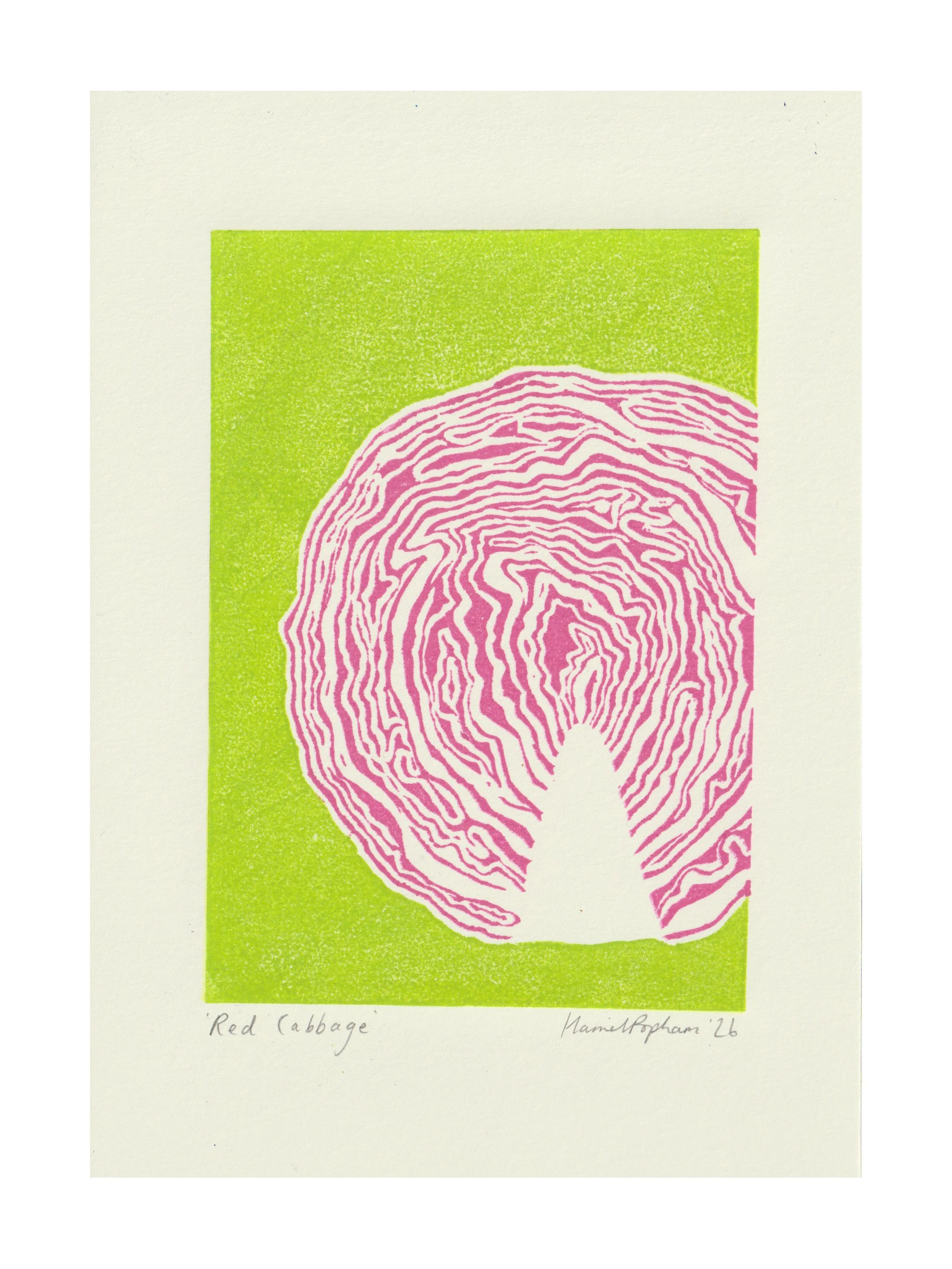 Red Cabbage / A5 / Hand Printed Lino