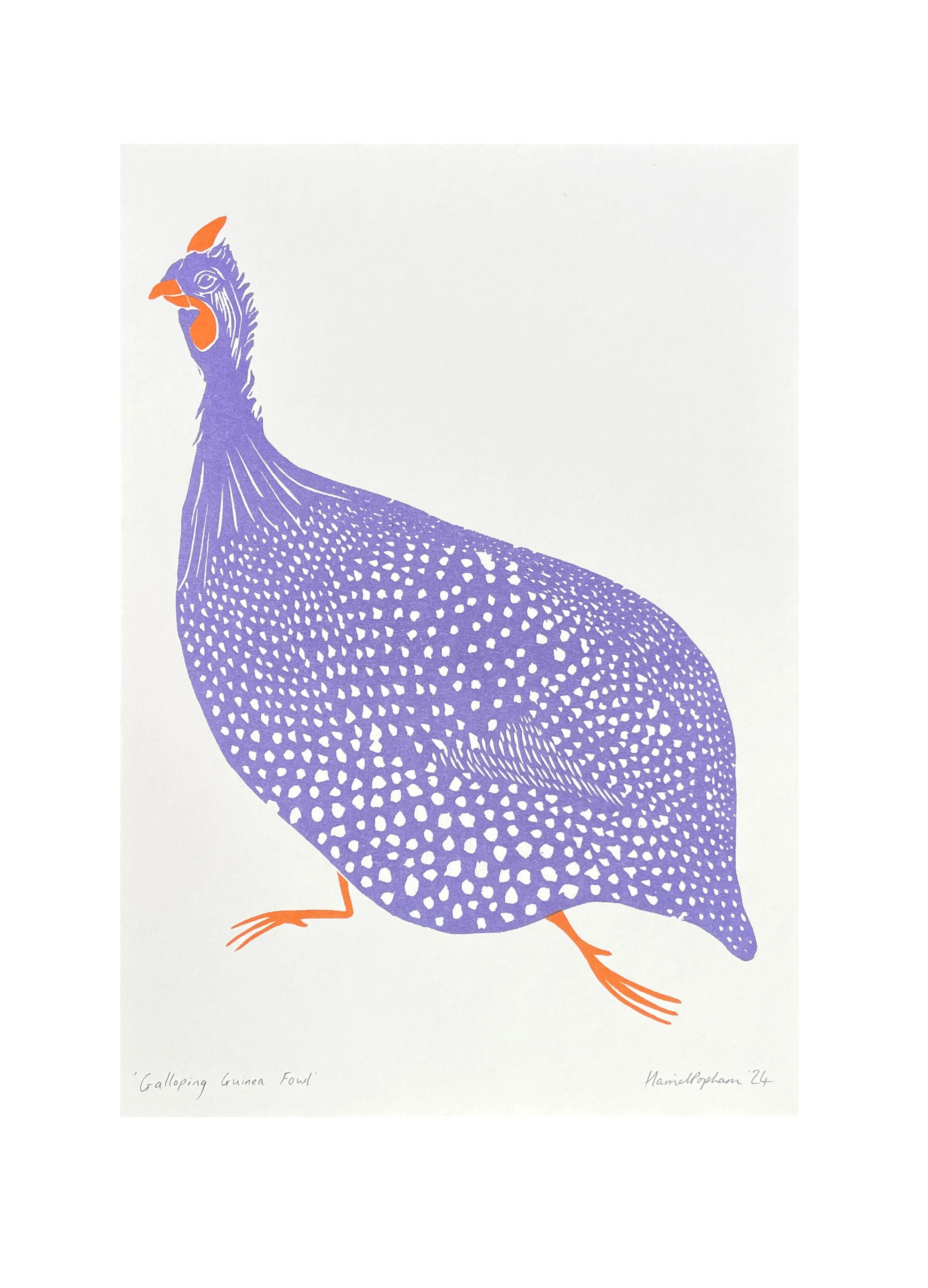 Guinea Fowl.jpg