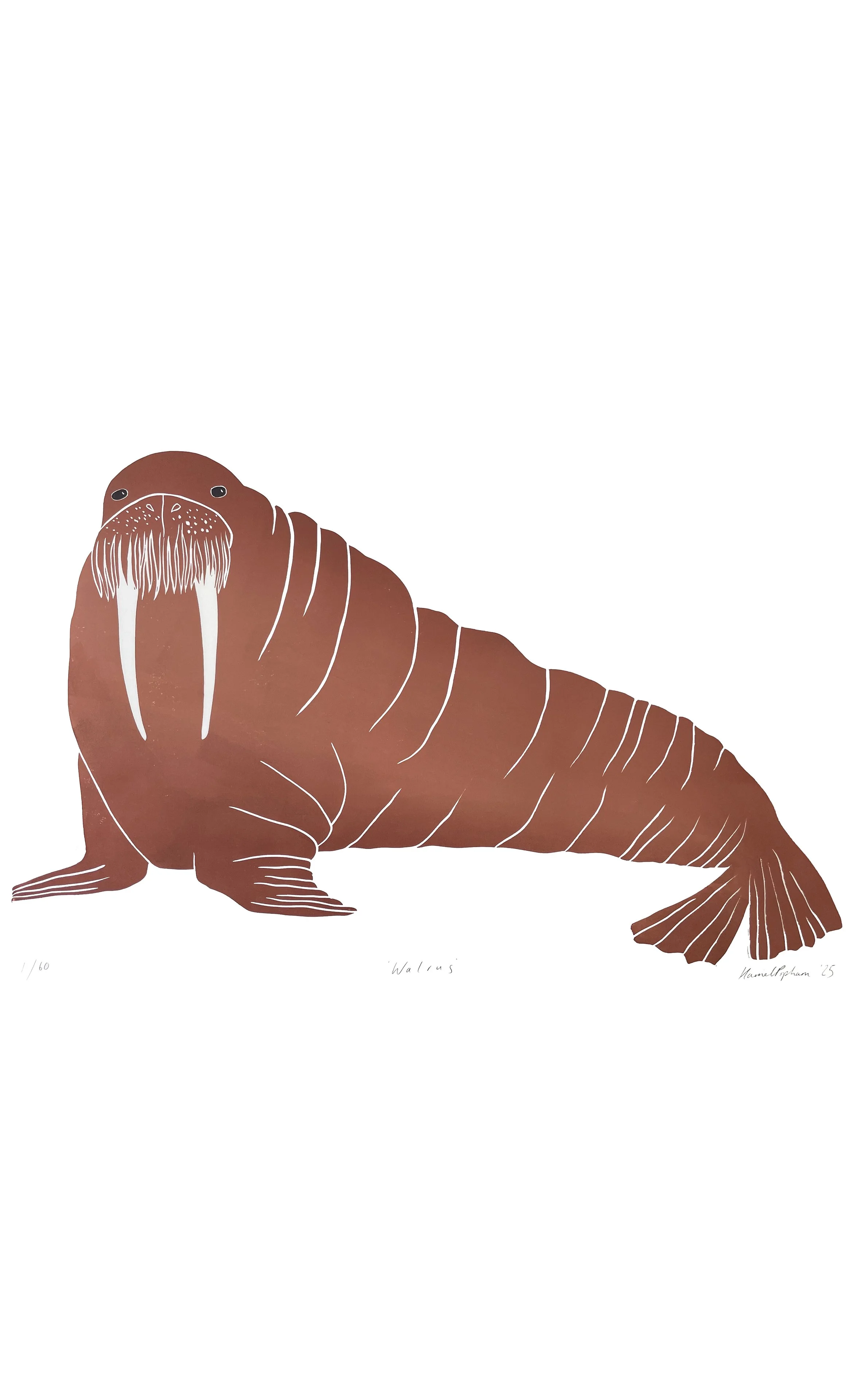 Walrus Original.jpg
