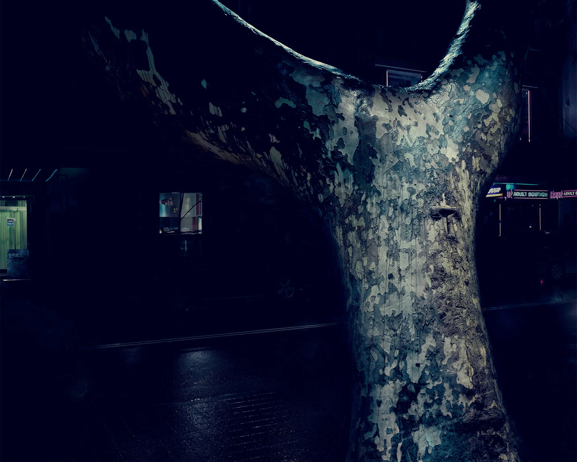 56 Darlinghurst Road, Sydney 2008. C-Type Print 80cm x 100cm © Alan McFetridge