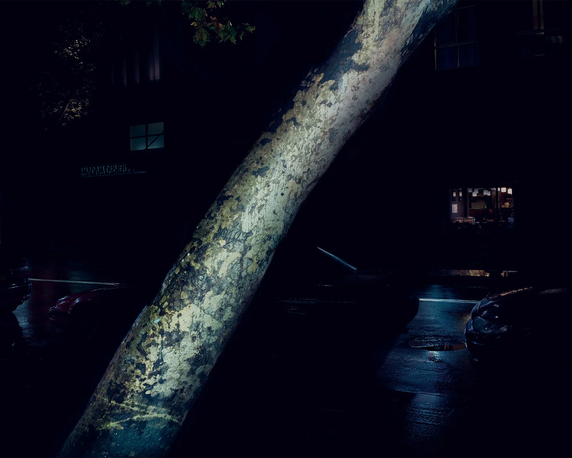 63 Darlinghurst Road, Sydney 2008. C-Type Print 80cm x 100cm © Alan McFetridge