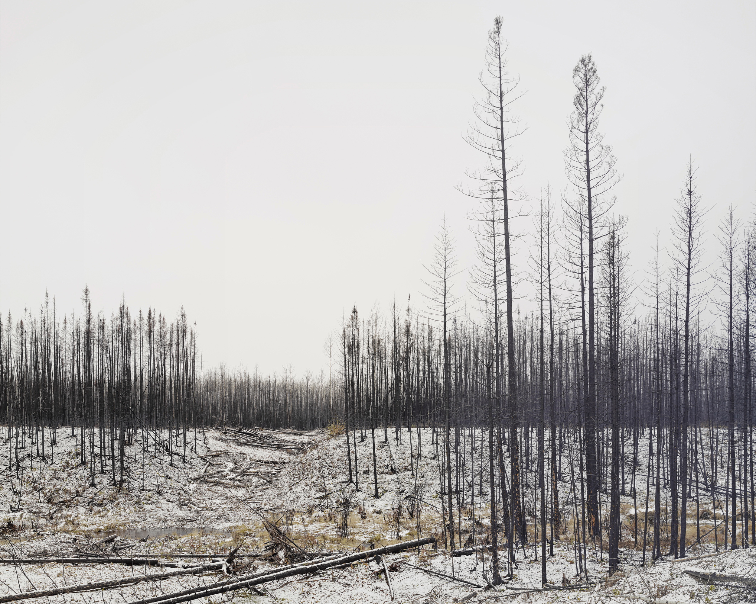 Emergency Fire Break, Fort McMurray, Canada. November 2016 (Copy)