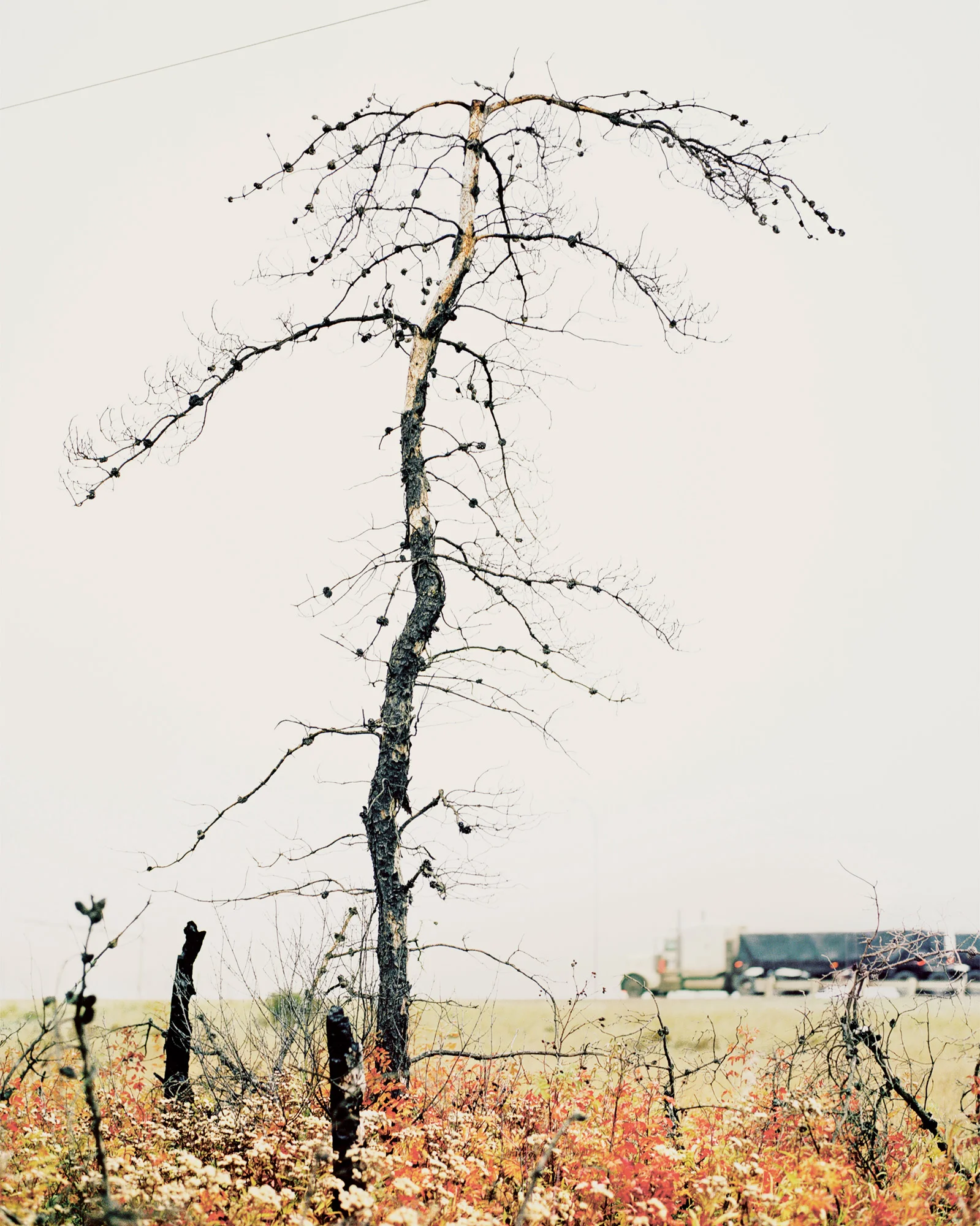 #-1, 2018. © Alan McFetridge
