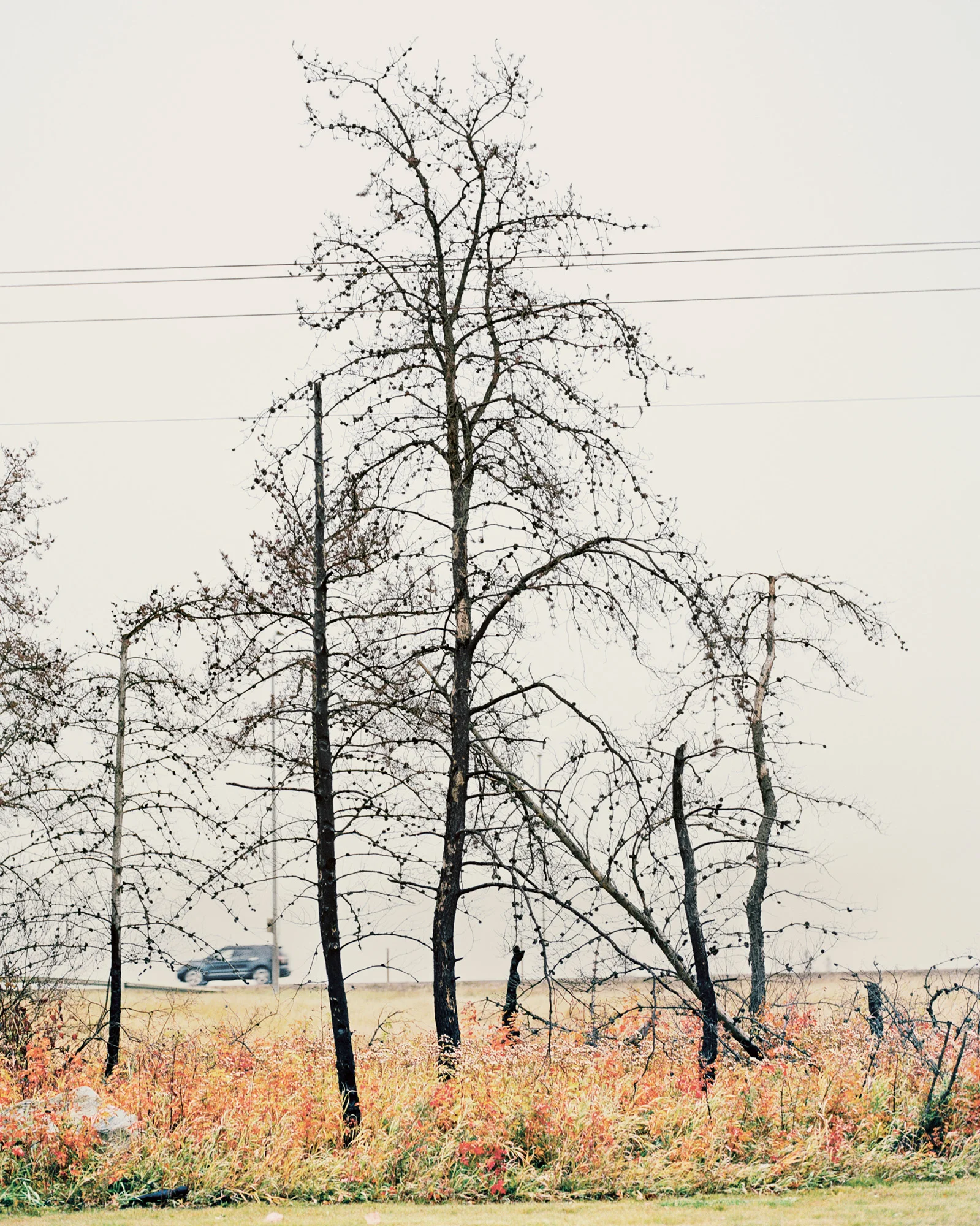 #-2, 2018. © Alan McFetridge