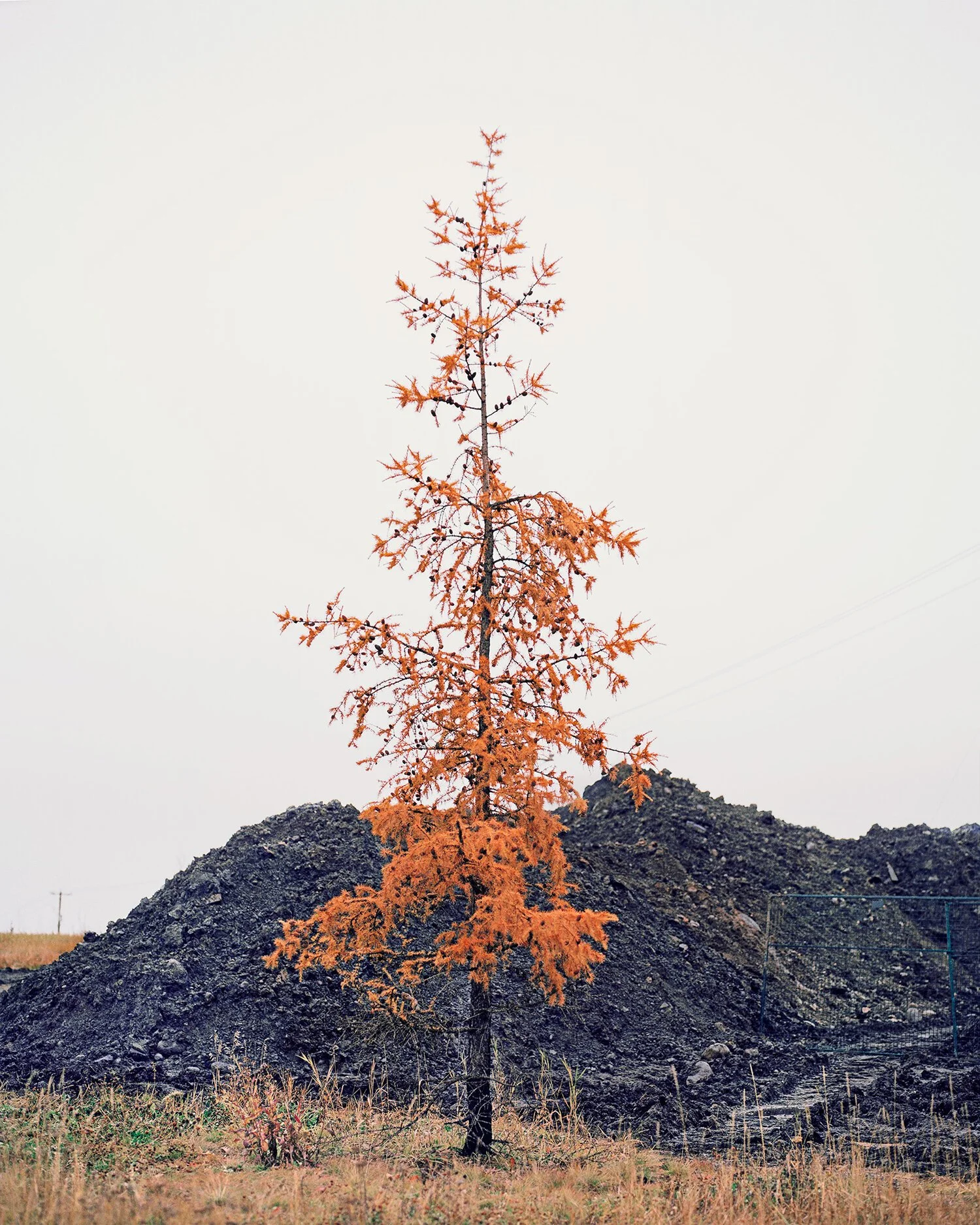 Feature: The Journal, Royal Photographic Society 