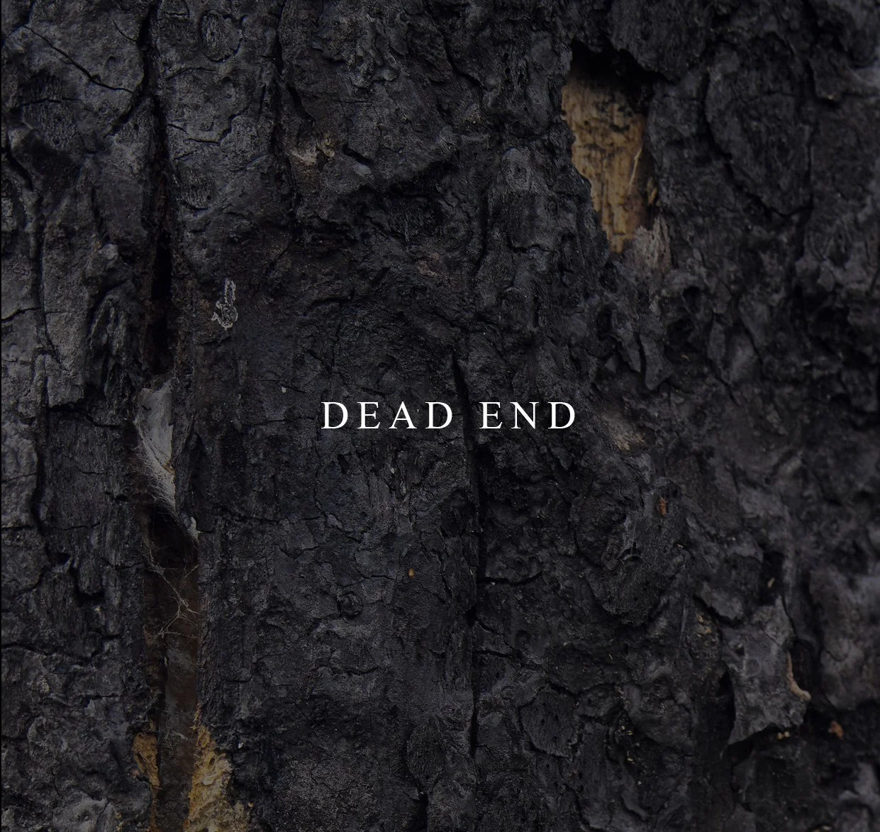 Book Launch and Exhibition: Wedge Gallery, Sydney, July 25th - 6th August.