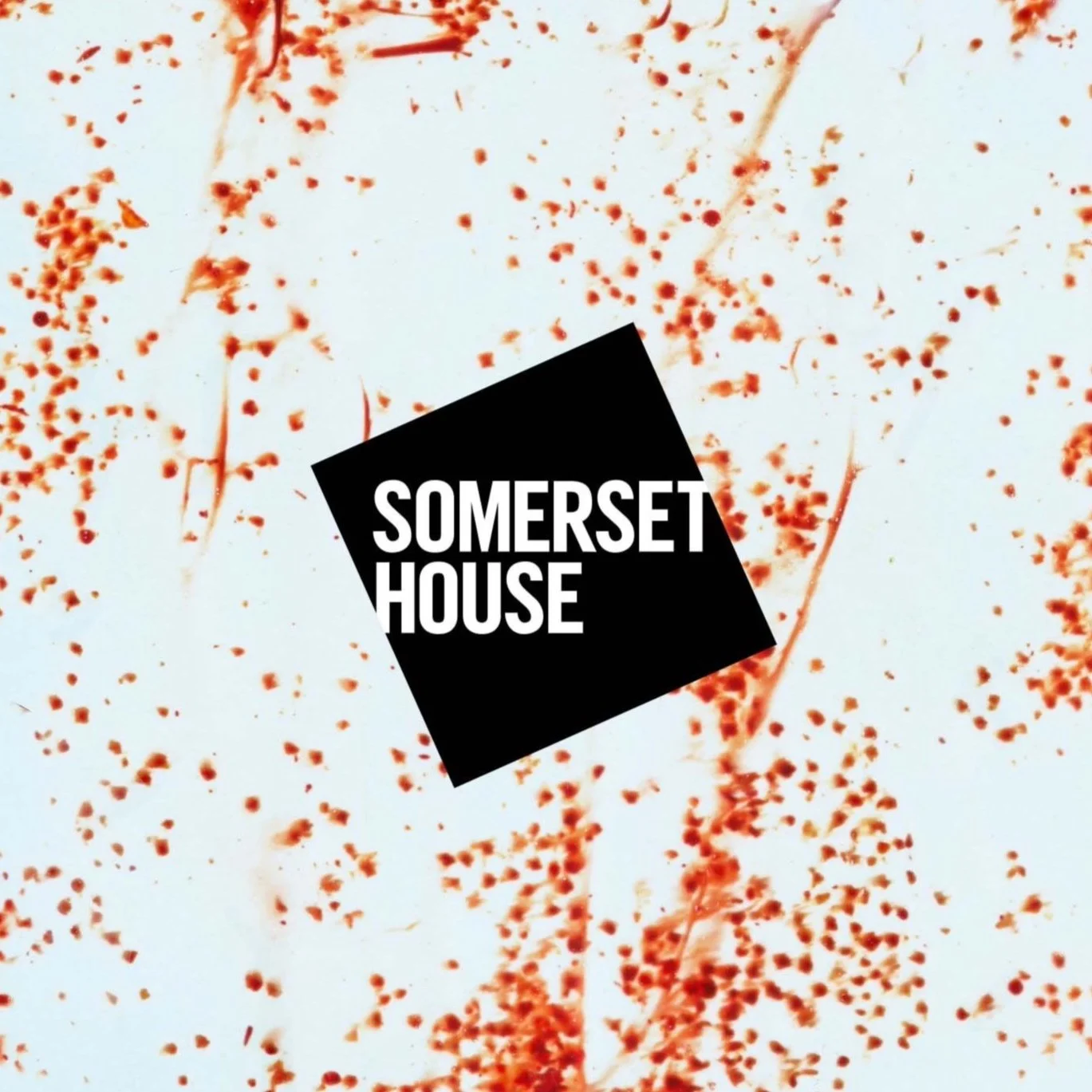 Feature: Somerset House Instagram Take Over