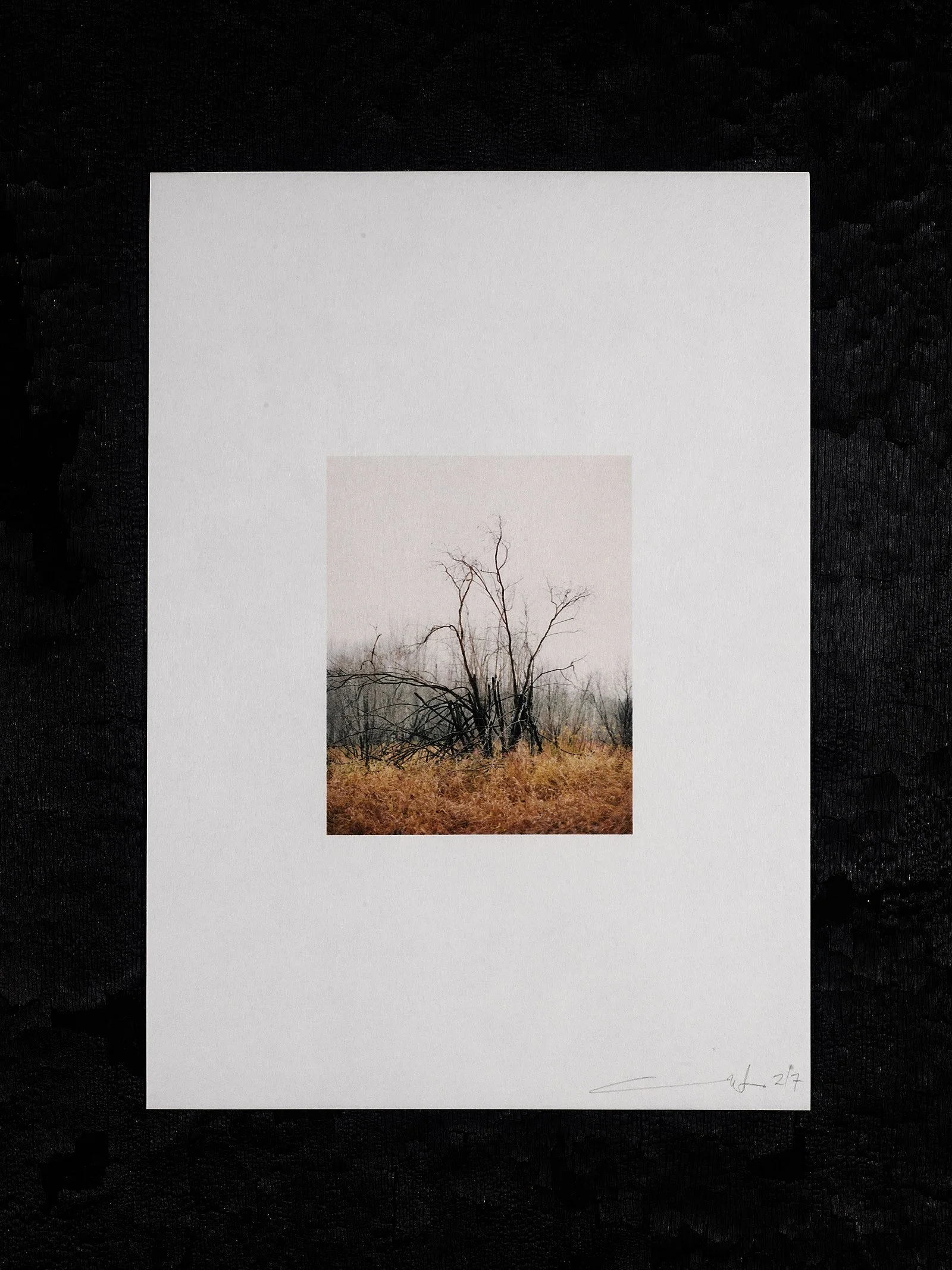 211012_Copy of Framed On The Line Edition No 358292.jpg