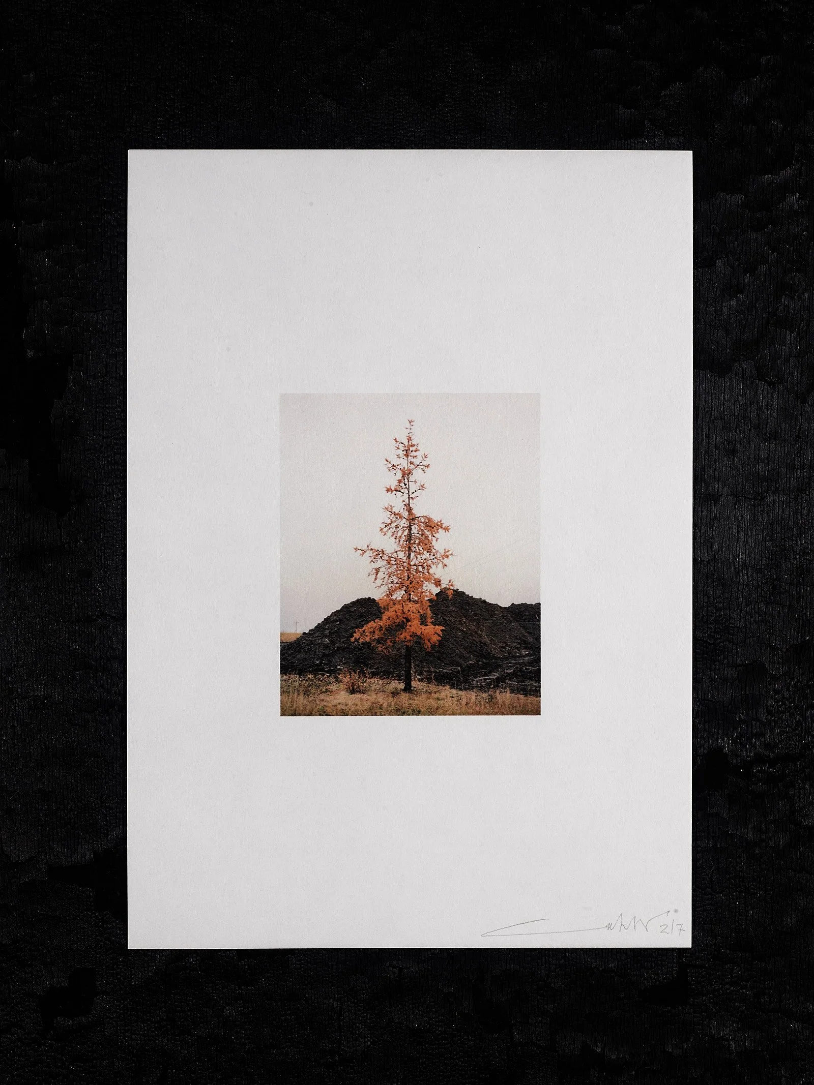 211012_Copy of Framed On The Line Edition No 358291.jpg