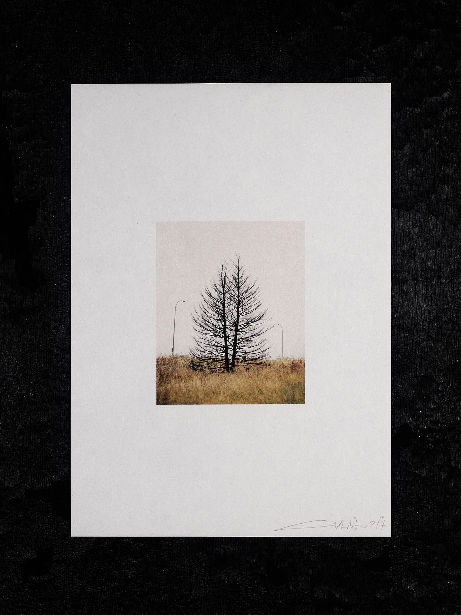 211012_Copy of Framed On The Line Edition No 358290.jpg