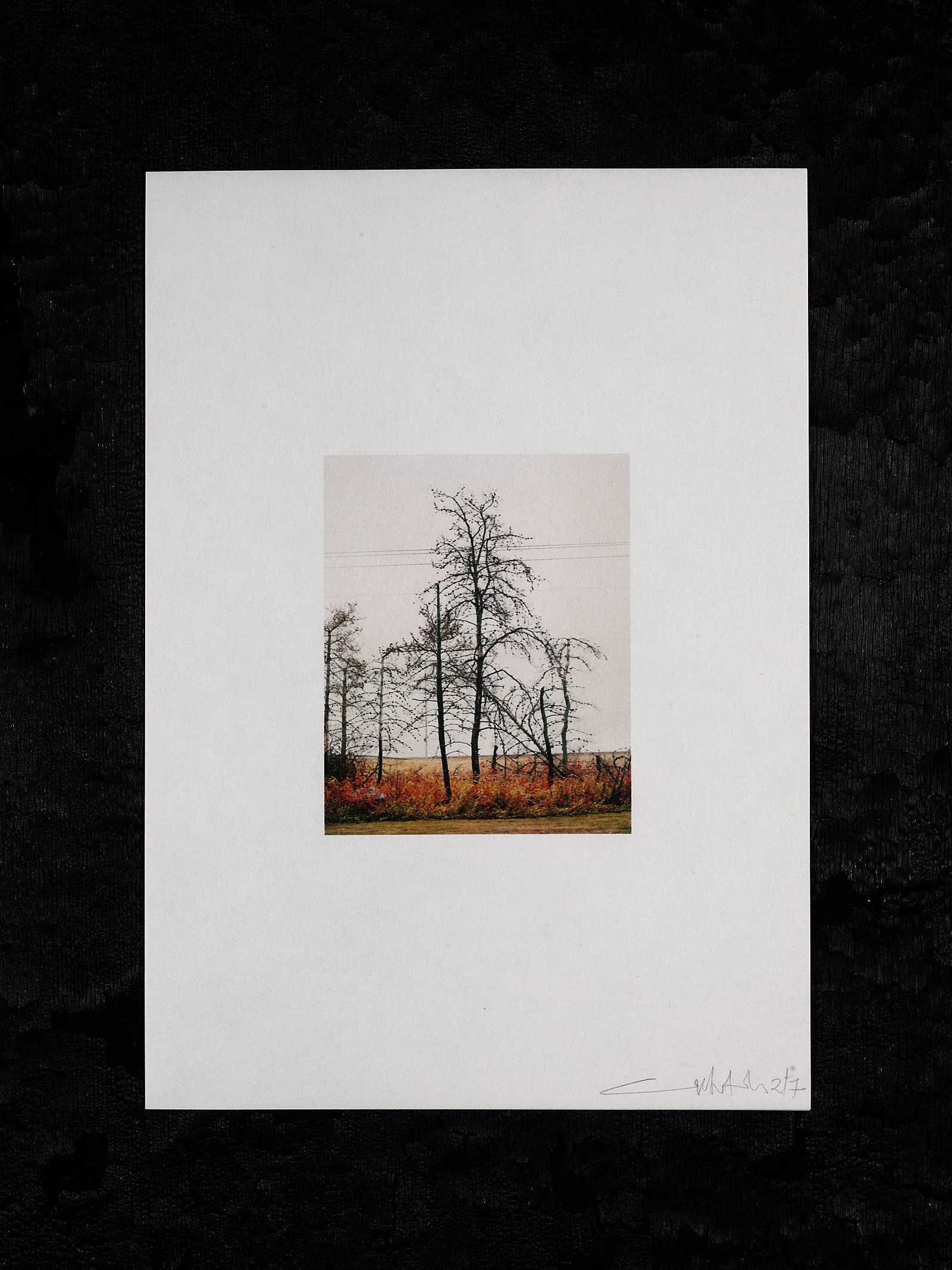 211012_Copy of Framed On The Line Edition No 358289.jpg