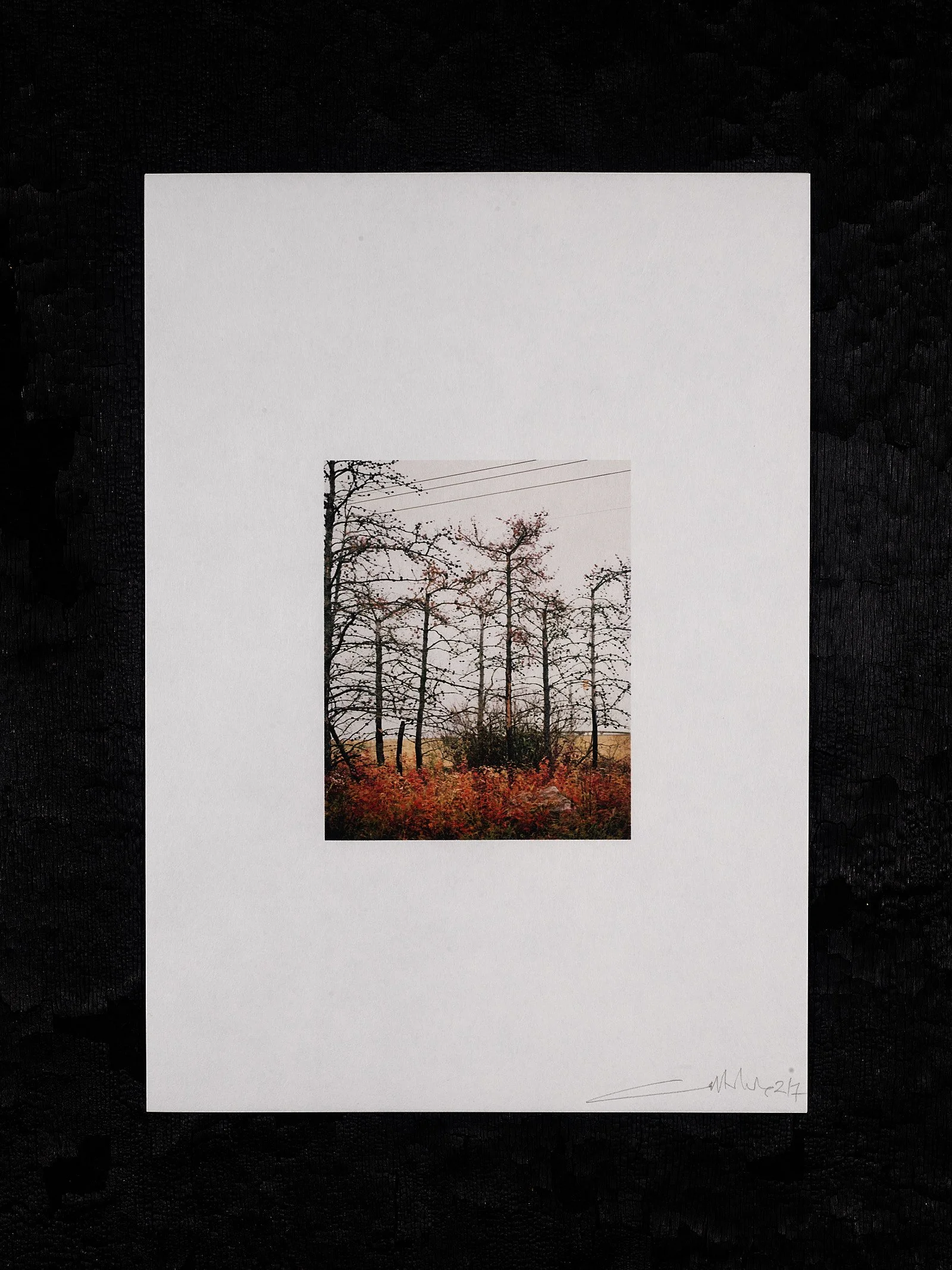 211012_Copy of Framed On The Line Edition No 358288.jpg