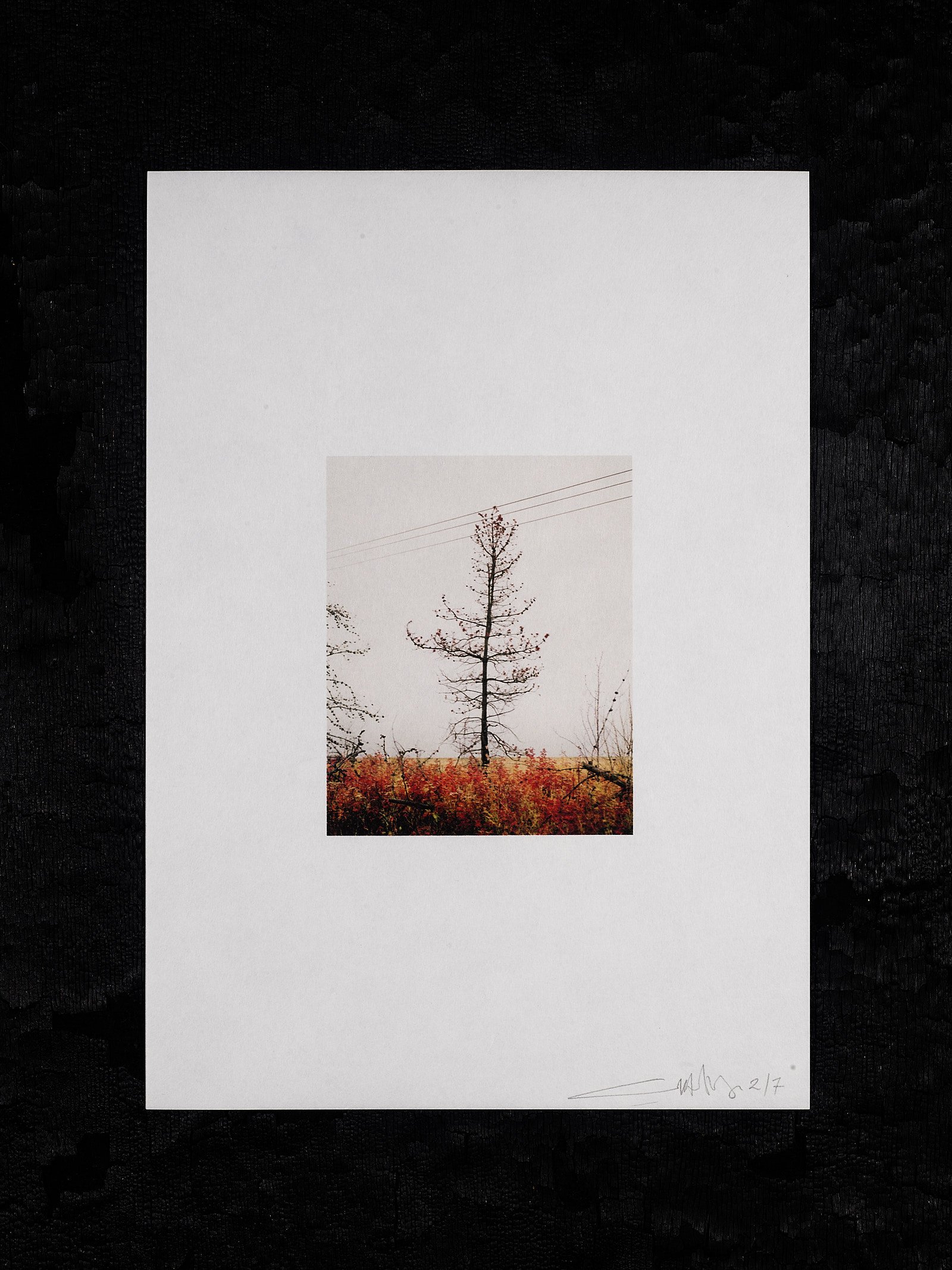 211012_Copy of Framed On The Line Edition No 358287.jpg