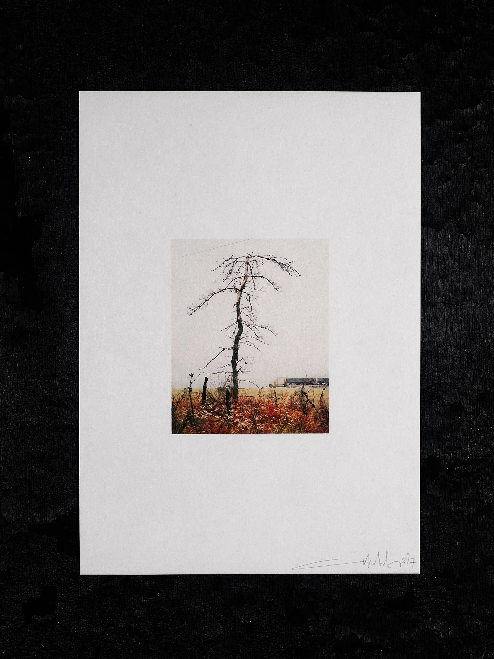 211012_Copy of Framed On The Line Edition No 358286.jpg