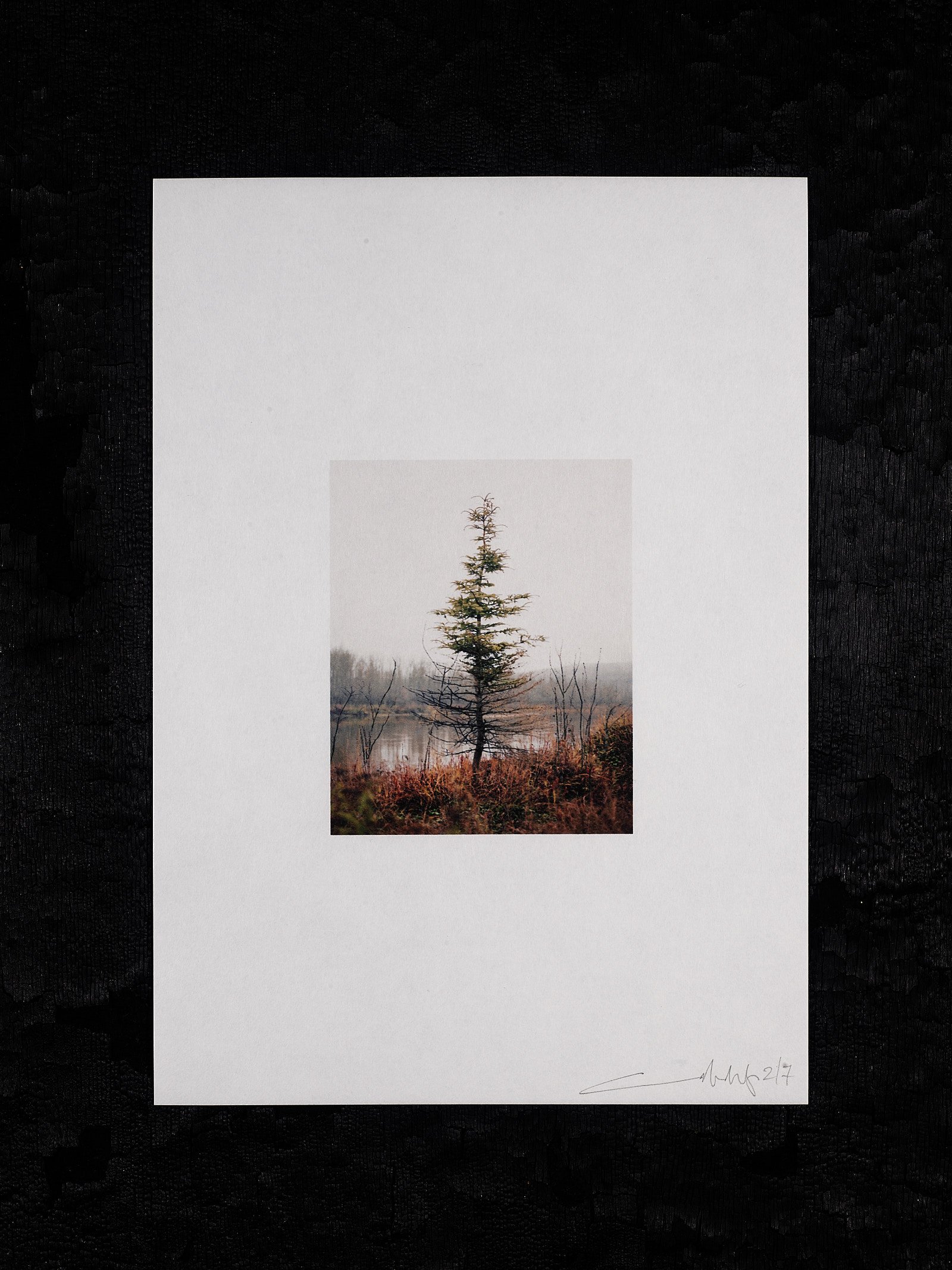 211012_Copy of Framed On The Line Edition No 358285.jpg