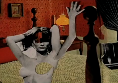 Electric Literature Martha Colburn - 2:00 min Artist Martha Colburn animates a sentence from Author Diana Wagman's tale of a young woman’s first sexual relationship after a mastectomy.