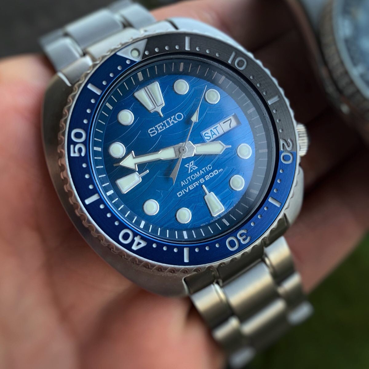 Seiko SRPD21 Great White Turtle — Affordable Wrist Time