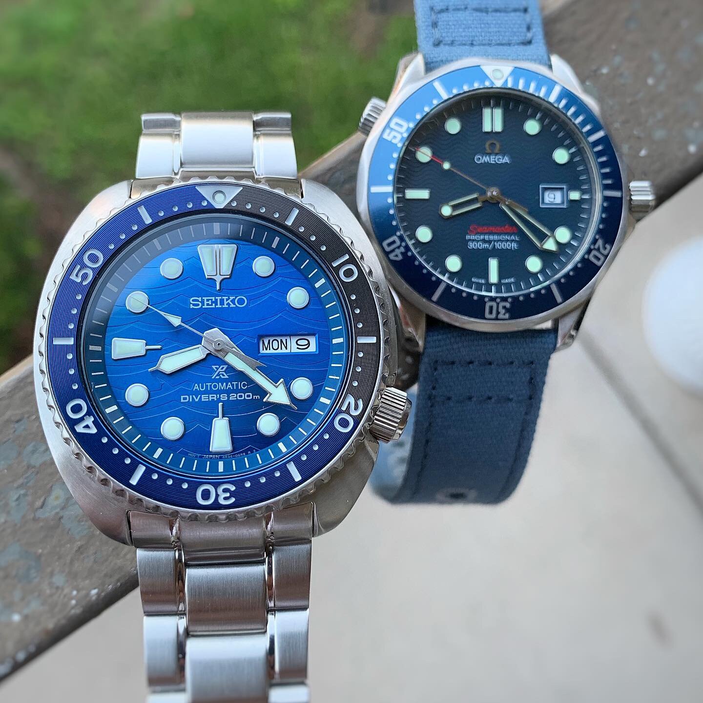 Seiko SRPD21 Great White Turtle Affordable Wrist Time