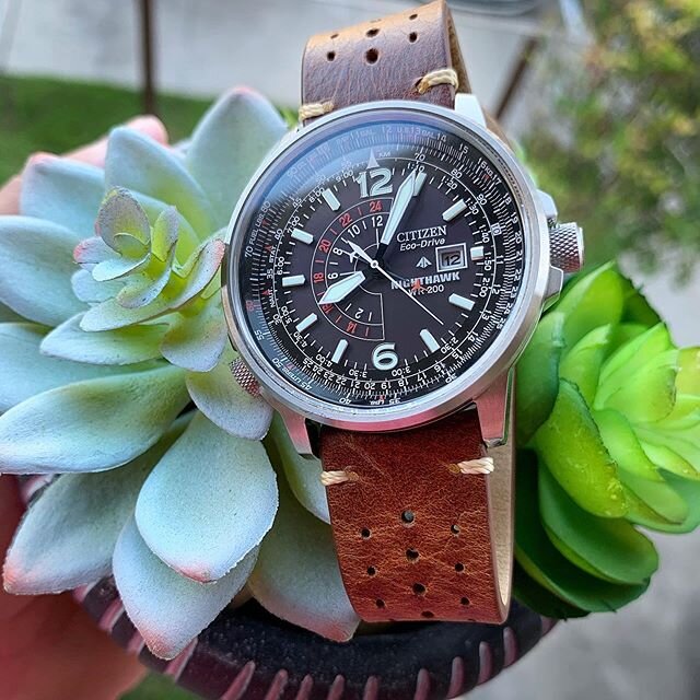 Catching some sunlight. #fliegerfriday -
- - - - - -
-
-
#citizenwatches #citizenwatches #nighthawk  #citizenecodrive  #affordablewtstrap #aviation
#mycitizen &bull; &bull;
&bull; 
Use the tag #AffordableWT to be regrammed and don't forget to visit  