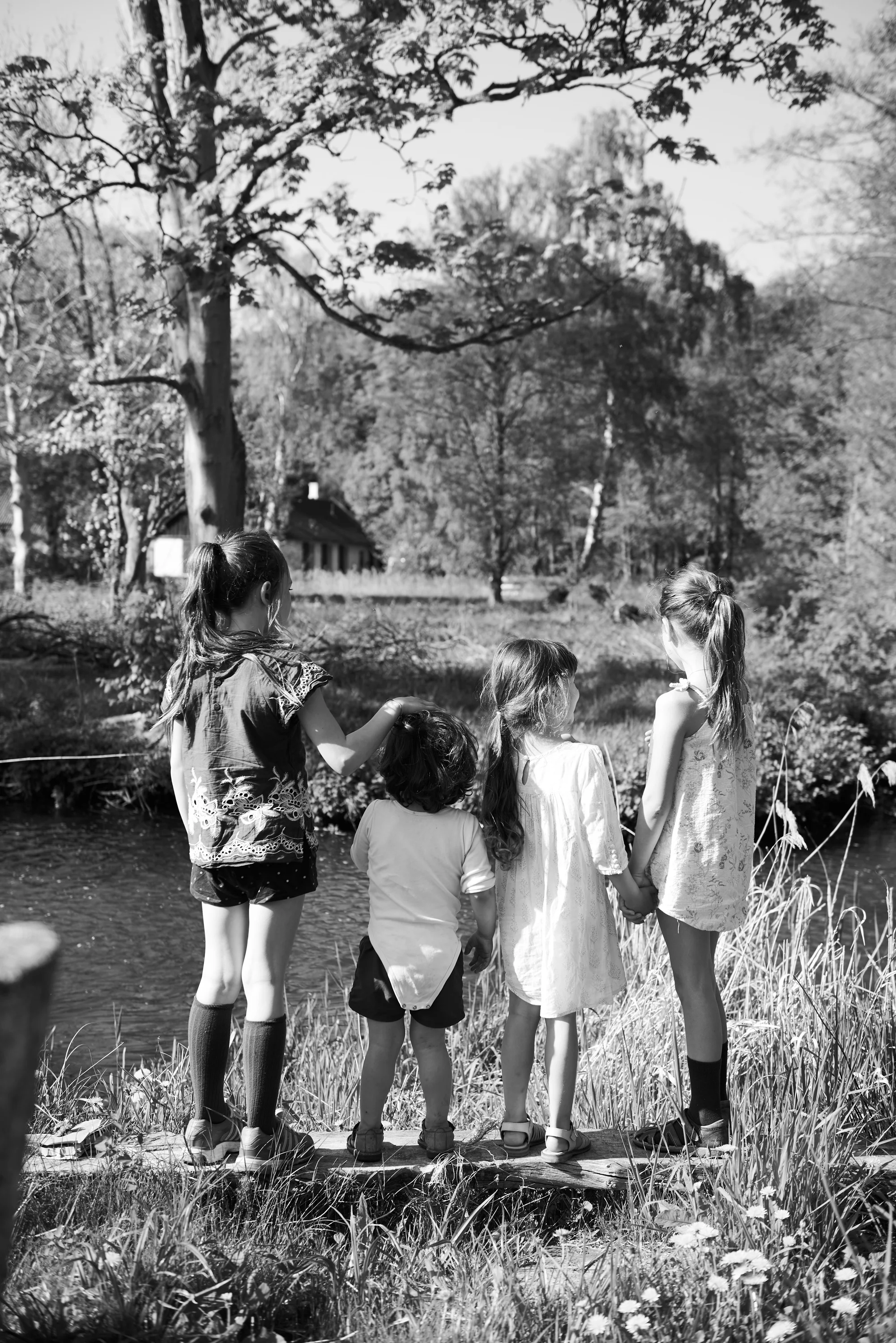 20180626_FAMILIES_MAJKORNUM__28629 copy.jpg